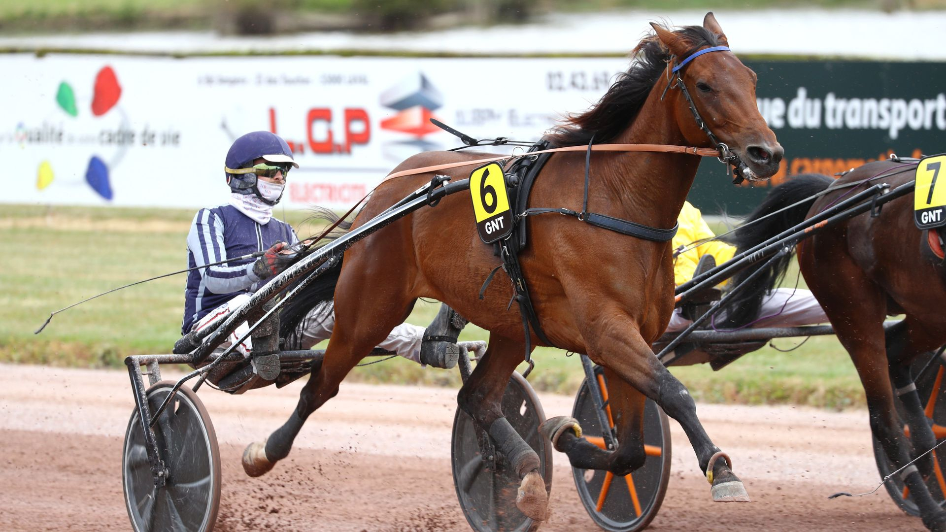 Jingle du Pont, retour attendu dans le GNT - © Aprh