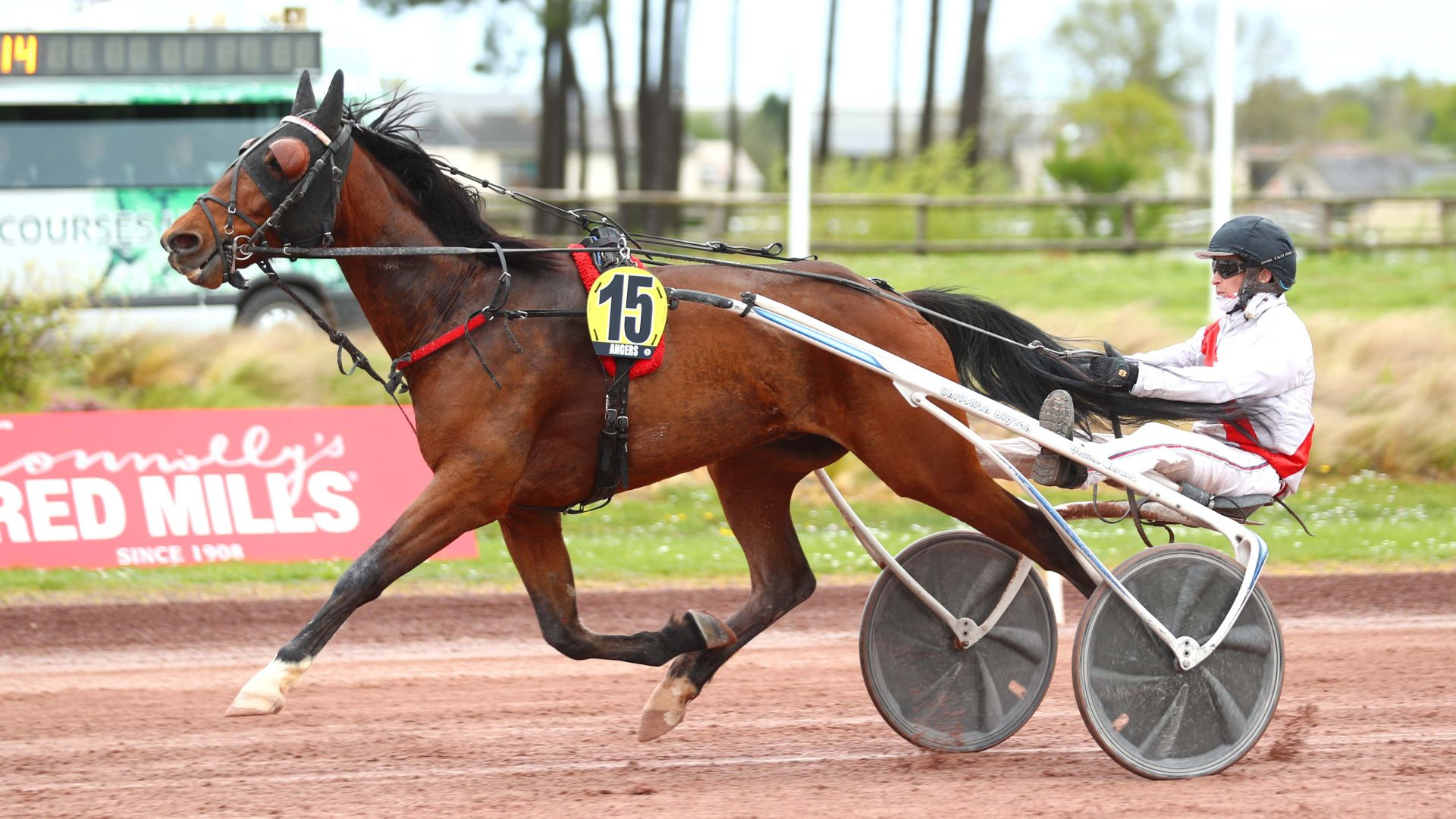 Jizou d'Etang - ©Scoopdyga