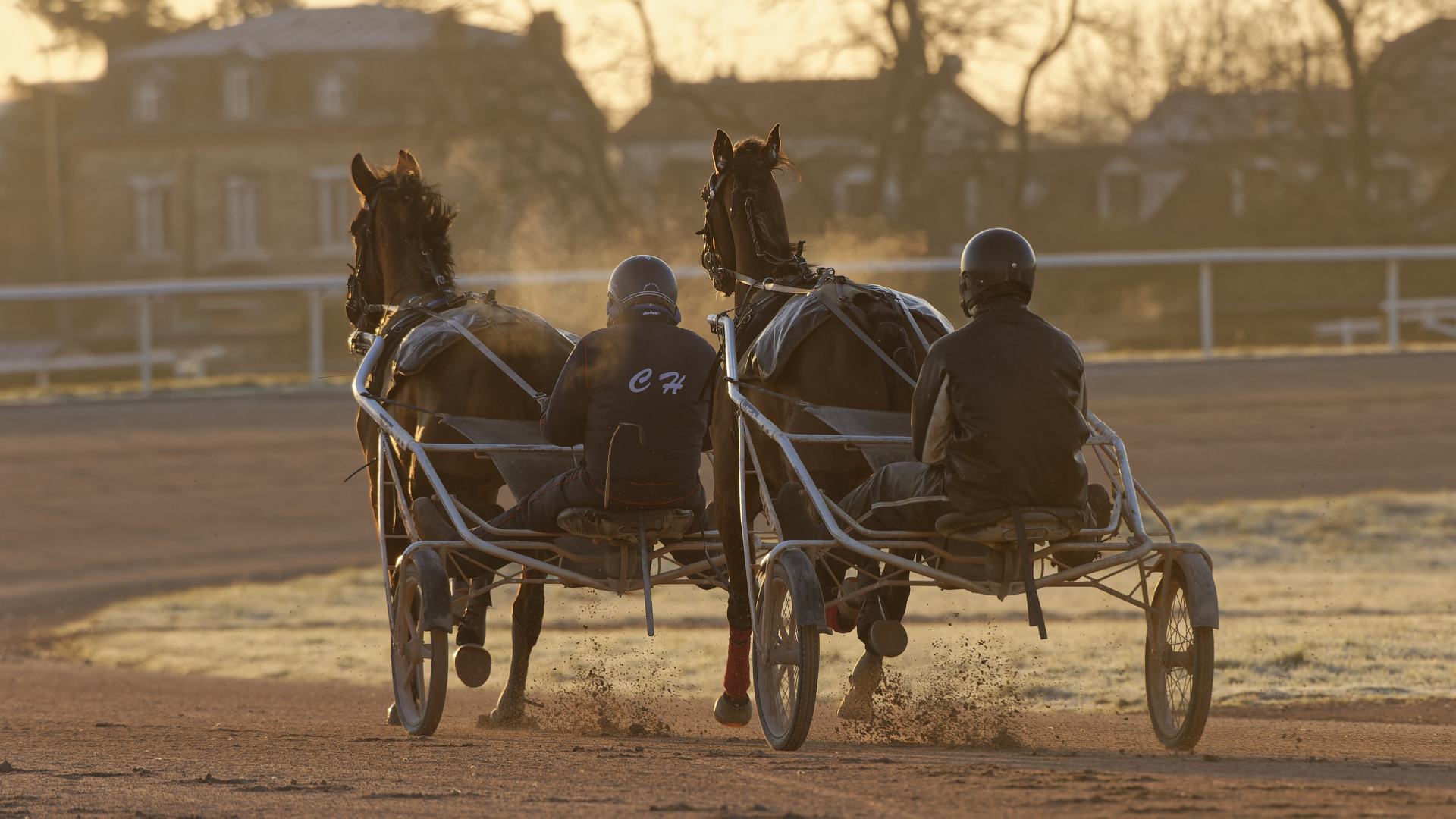 ©JLL - Entraînement de deux trotteurs sur la piste d'entraînement de Grosbois