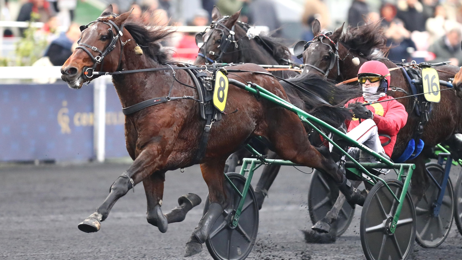 Jobspost, lors de son succès à Vincennes - © ScoopDyga