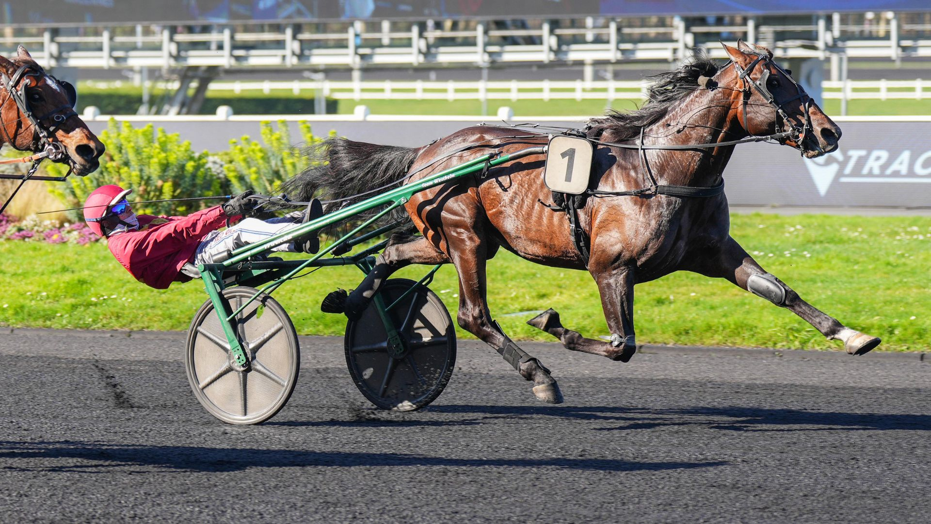 Jobspost - ©Scoopdyga