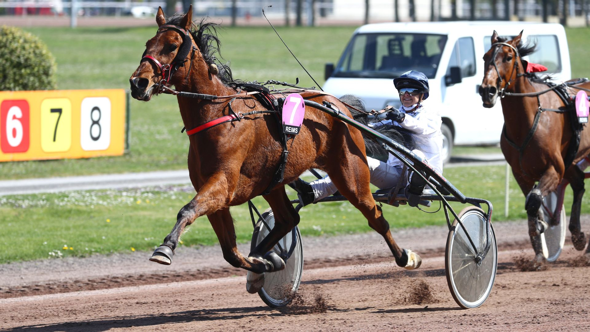 Joker d'Amaro - Émilie Duperche