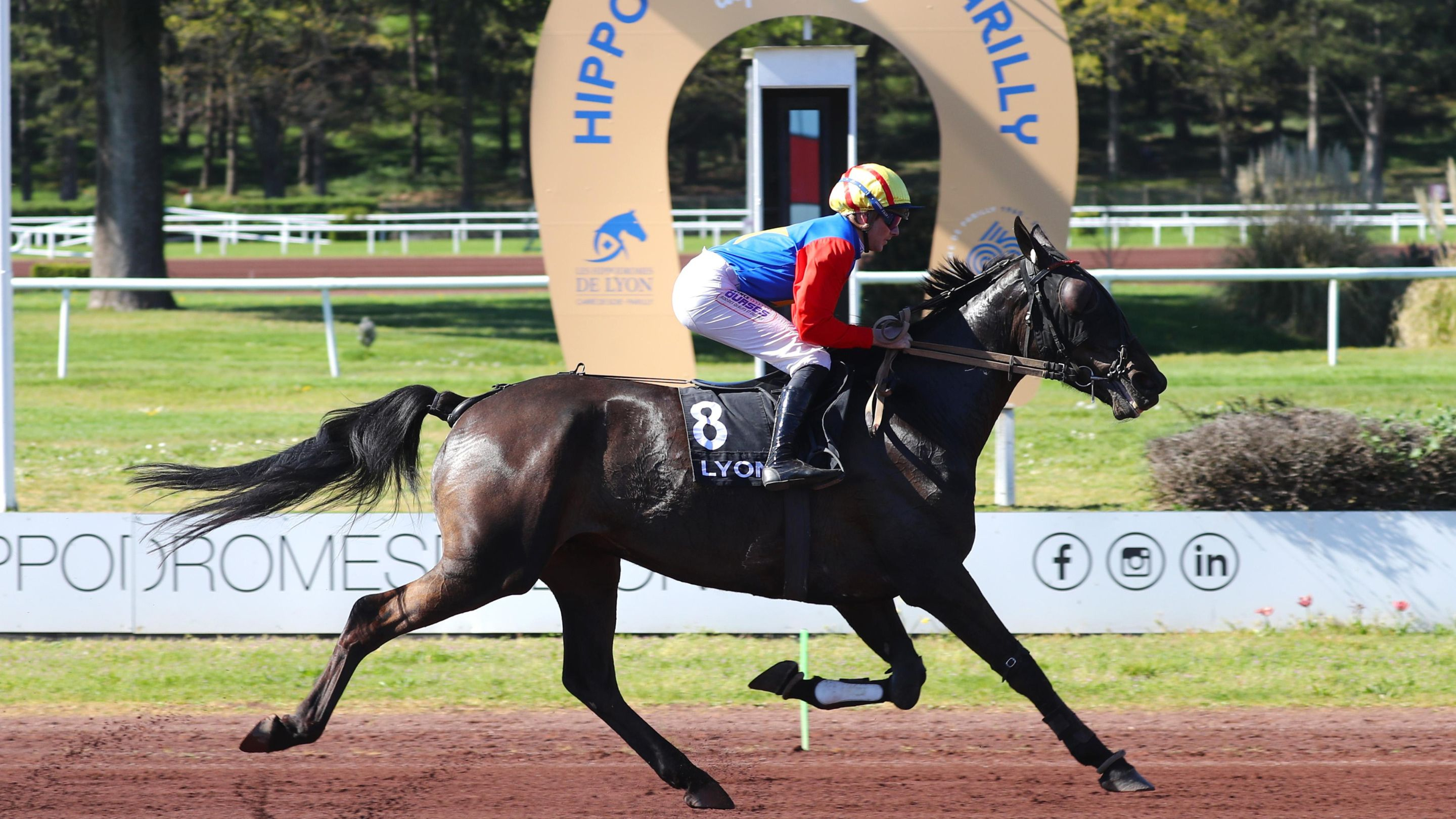 Joselito du Vivier - © ScoopDyga