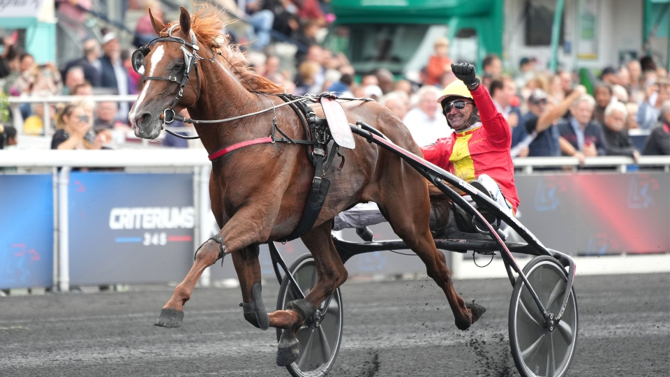 Sébastien Ernault - Josh Power