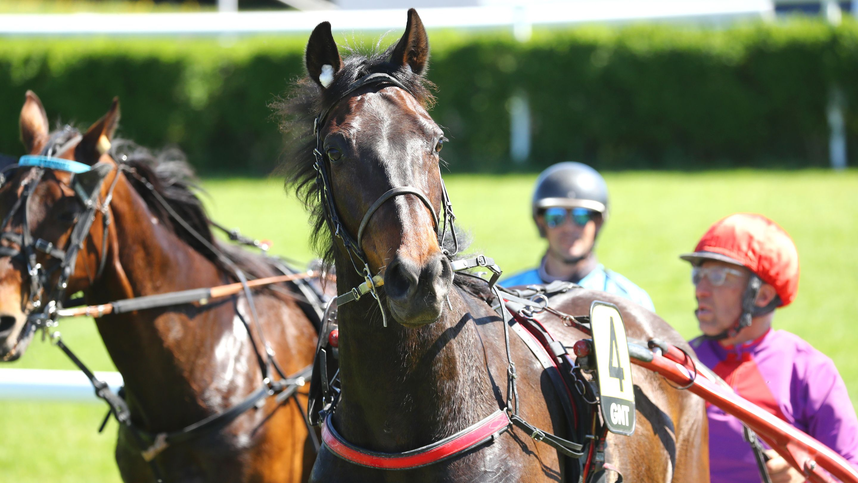 Jotunn du Dôme - © Aprh