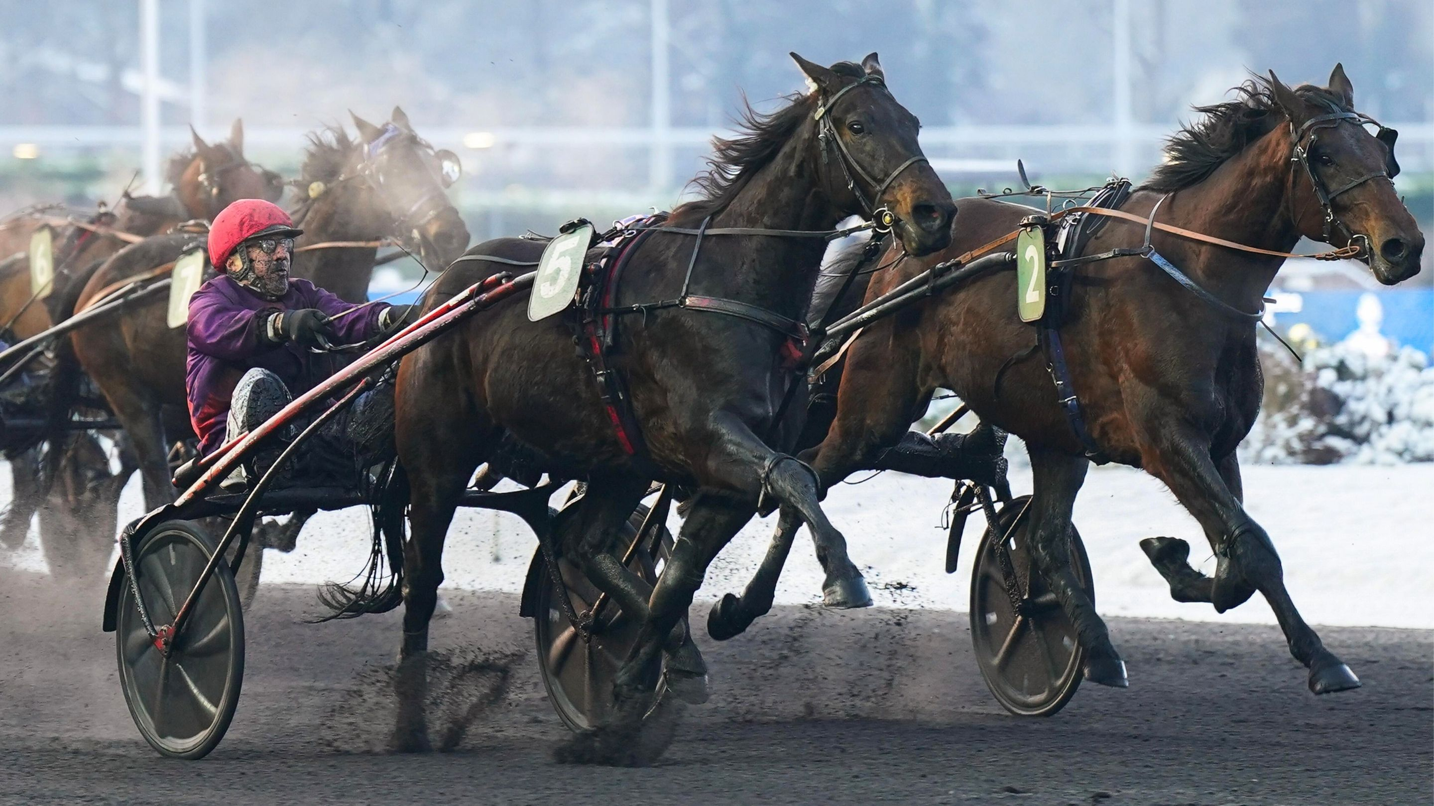 Jotunn du Dôme - Just du Châtelet