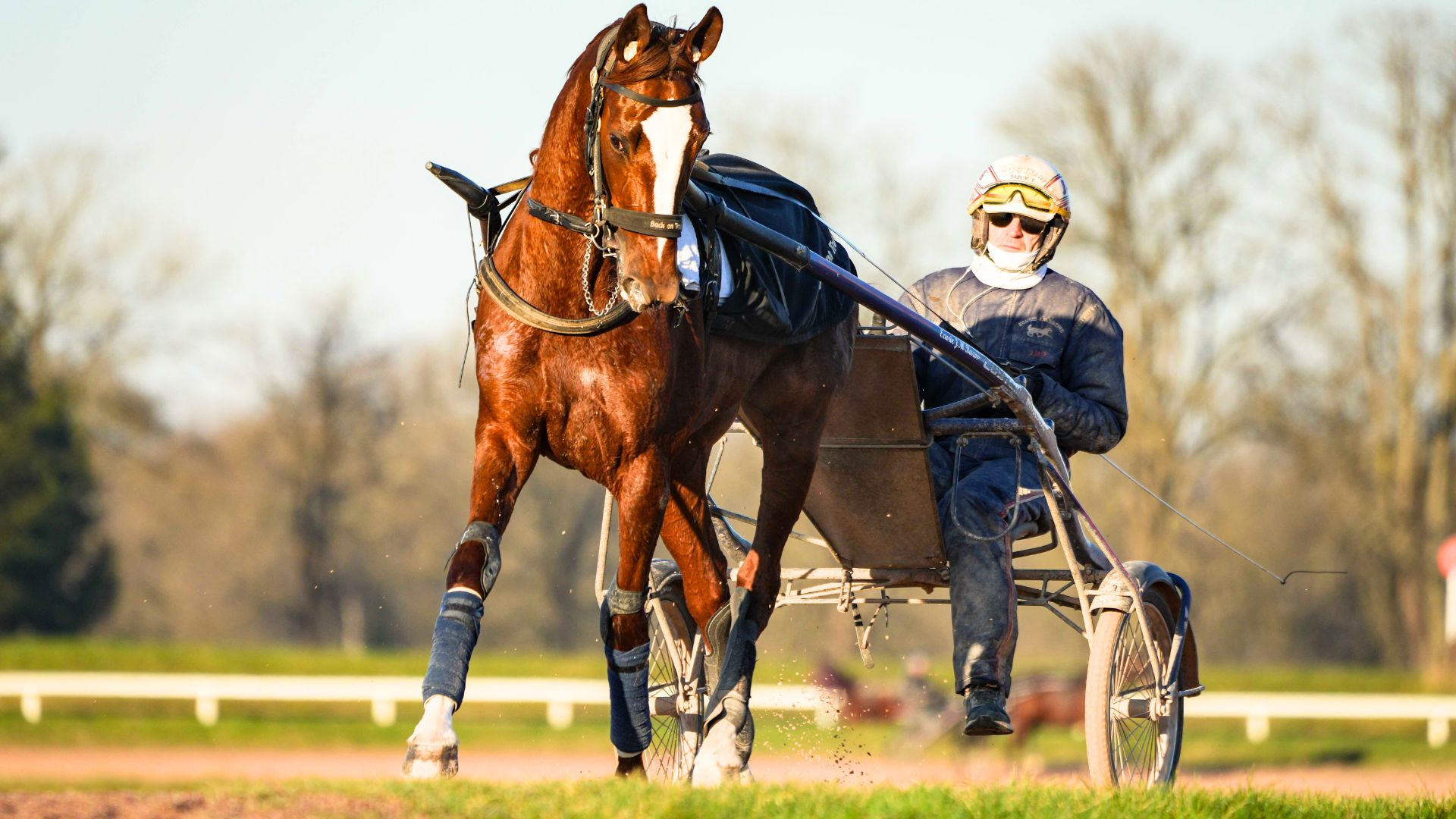 Joumba de Guez - © ScoopDyga