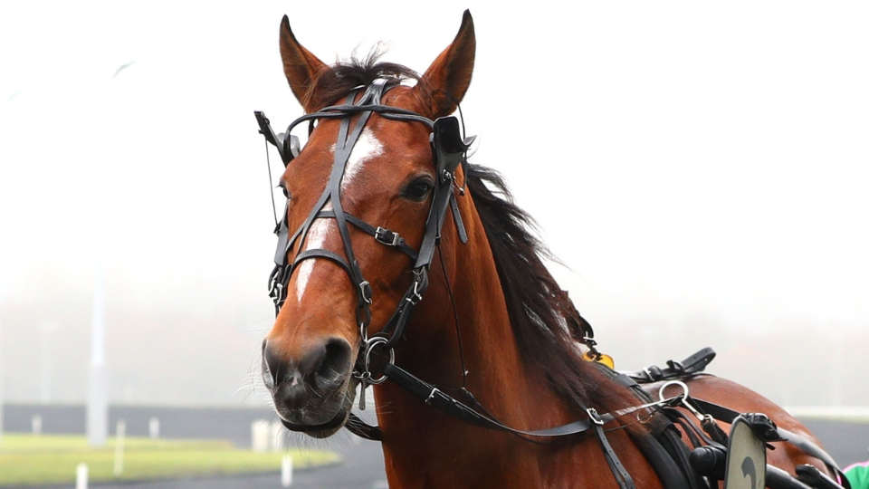 Jour de Fête - © ScoopDyga