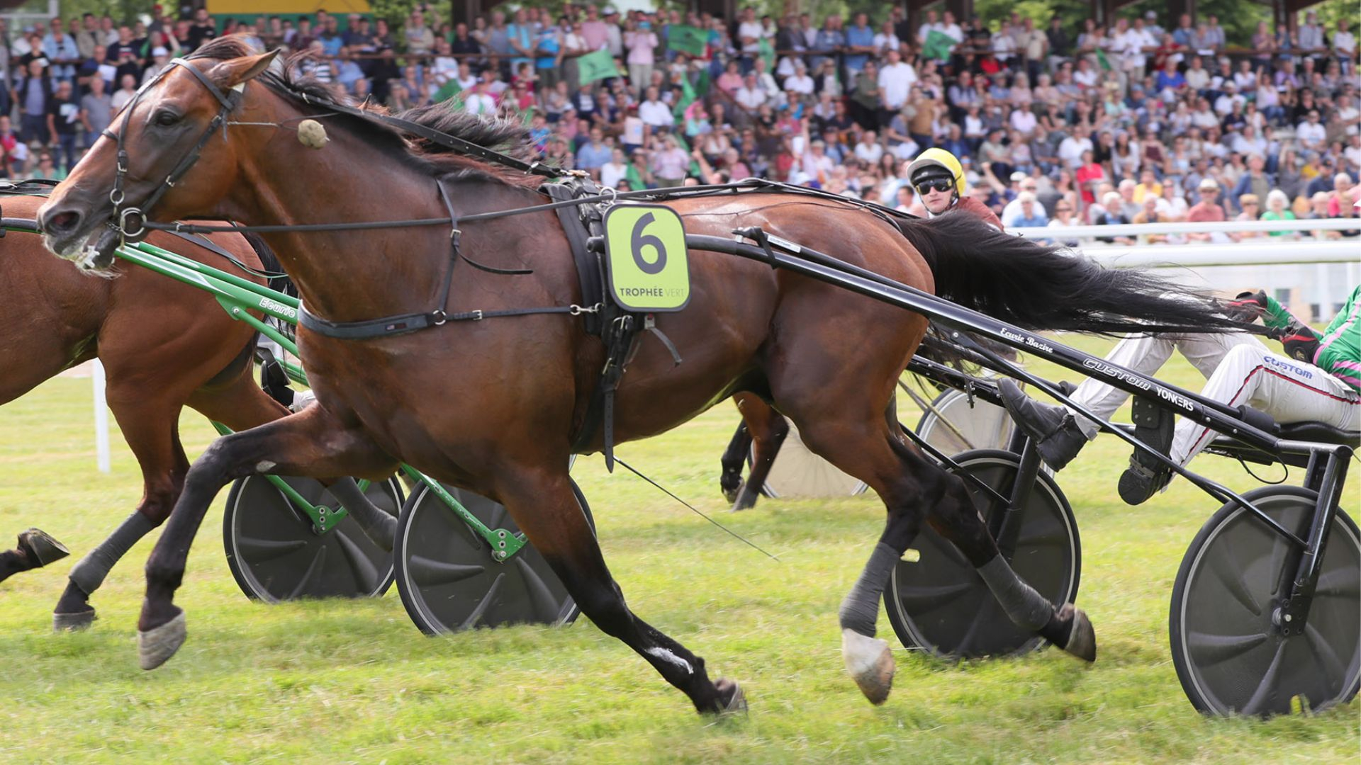 Jour de Fête en pleine action à La Roche-Posay - © J.-C. Briens