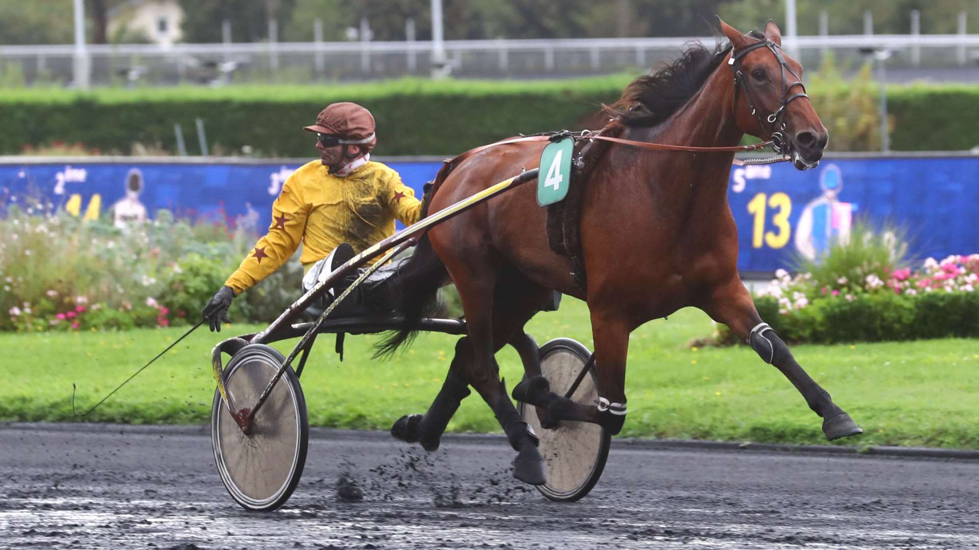 ©Scoopdyga - Joyce Delto cumule trois données à plus de 80 %