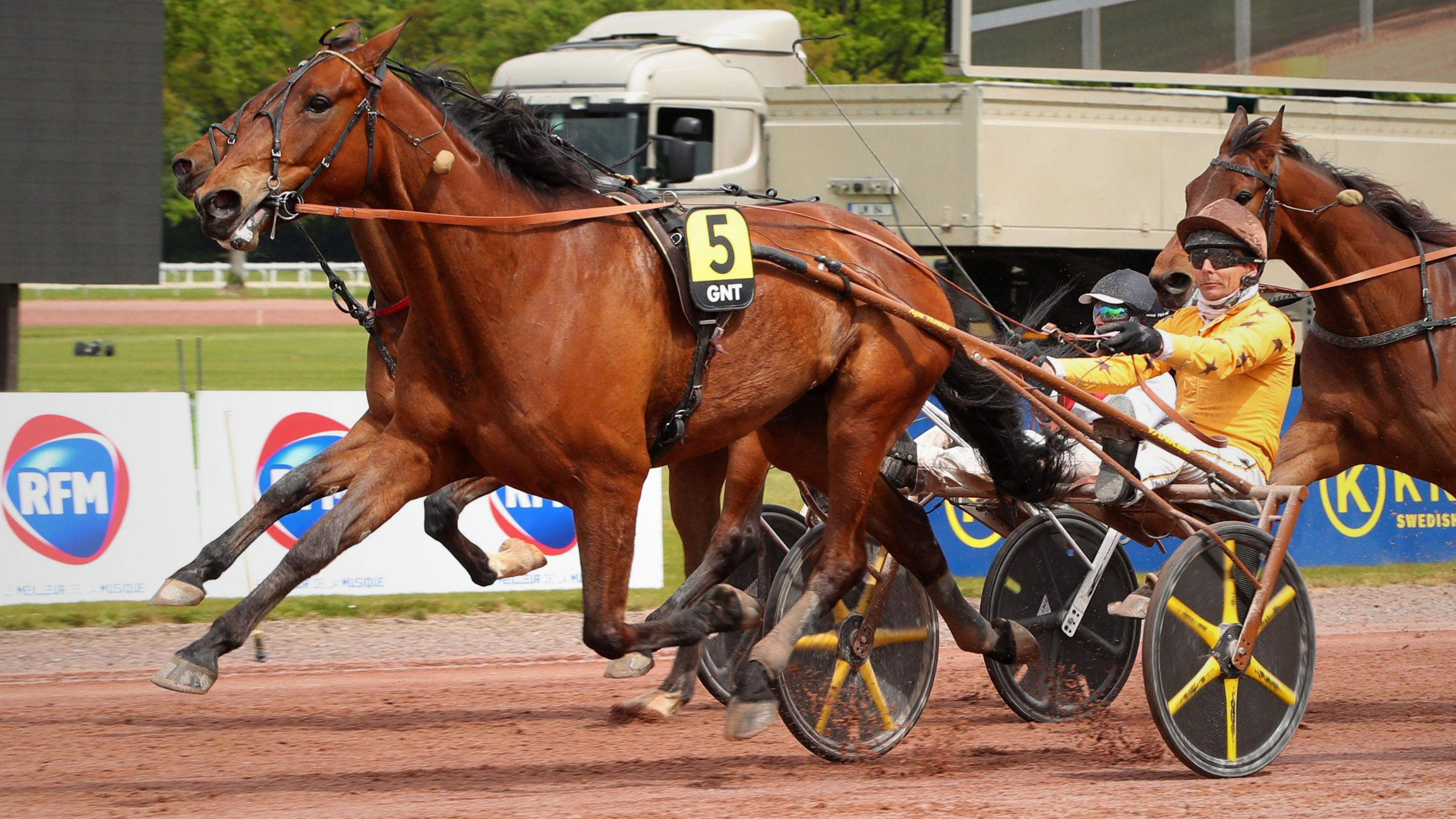 Joyce Delto - © ScoopDyga