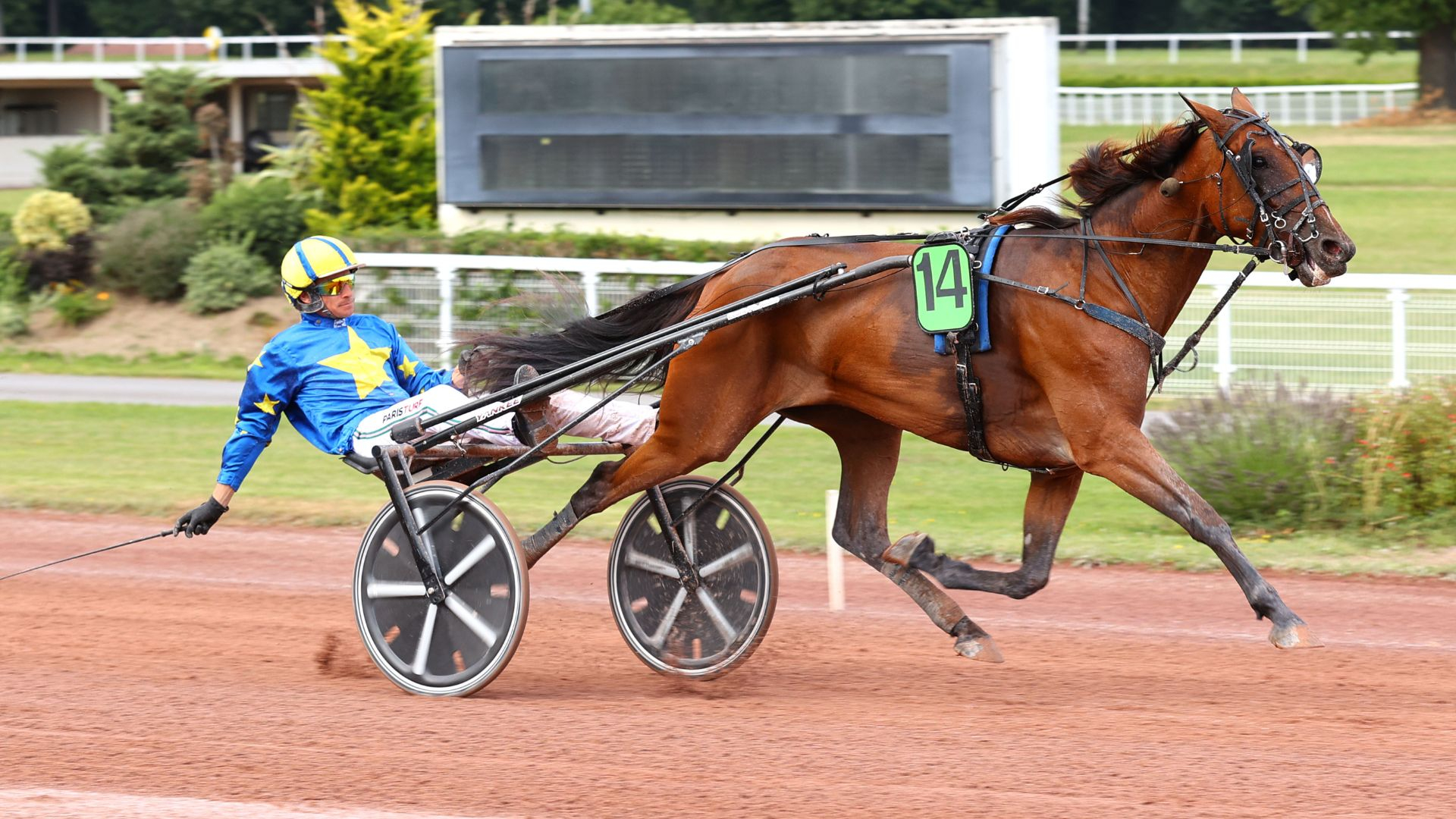 Lush Life - ©Scoopdyga