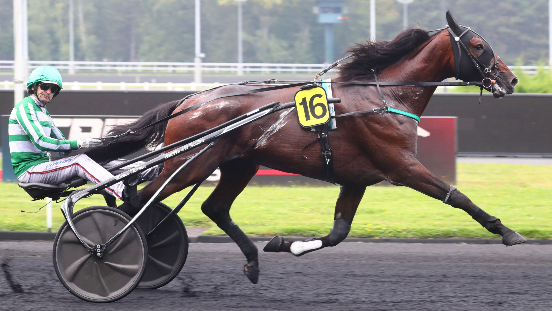 Jushua Tree - © Aprh