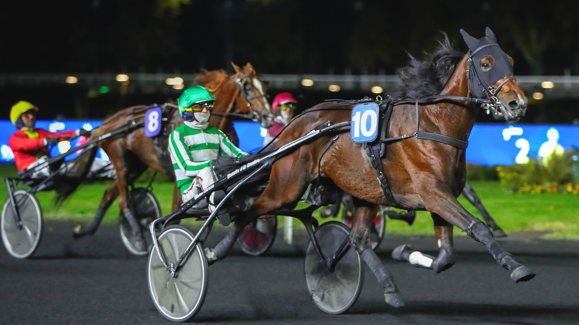 Jushua Tree - Josh Power