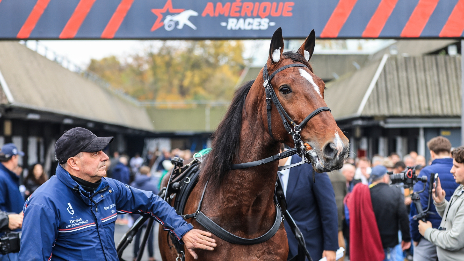 Jushua Tree - © Bruno Vandevelde - SETF