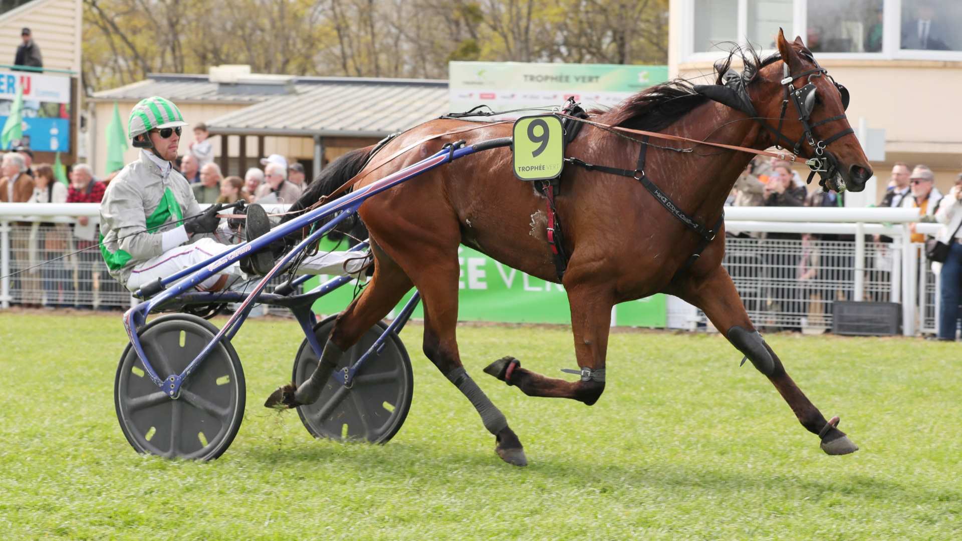 ©J.-C. Briens - Just de l'Oison obtient le plus de citations dans cette étude