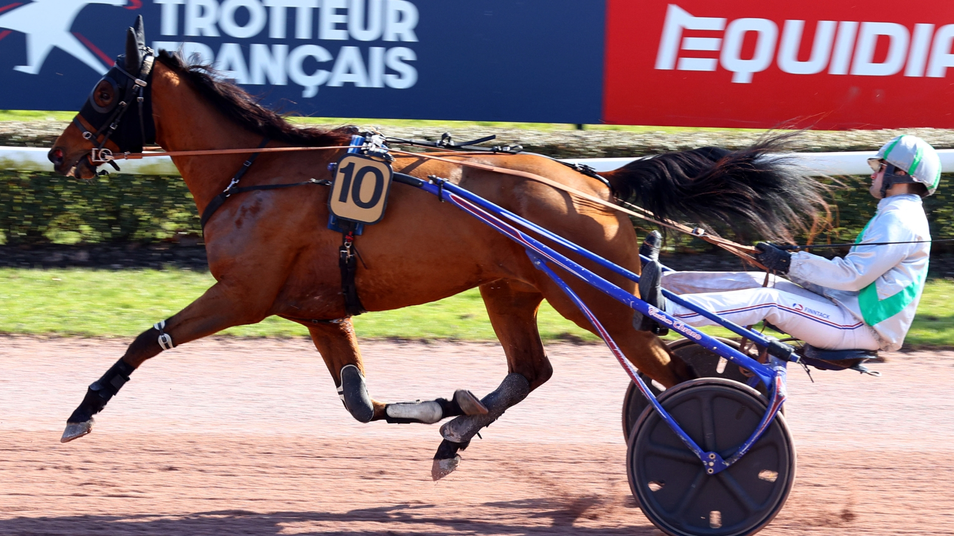 Just de l'Oison, un candidat positionné en tête à Amiens - © ScoopDyga