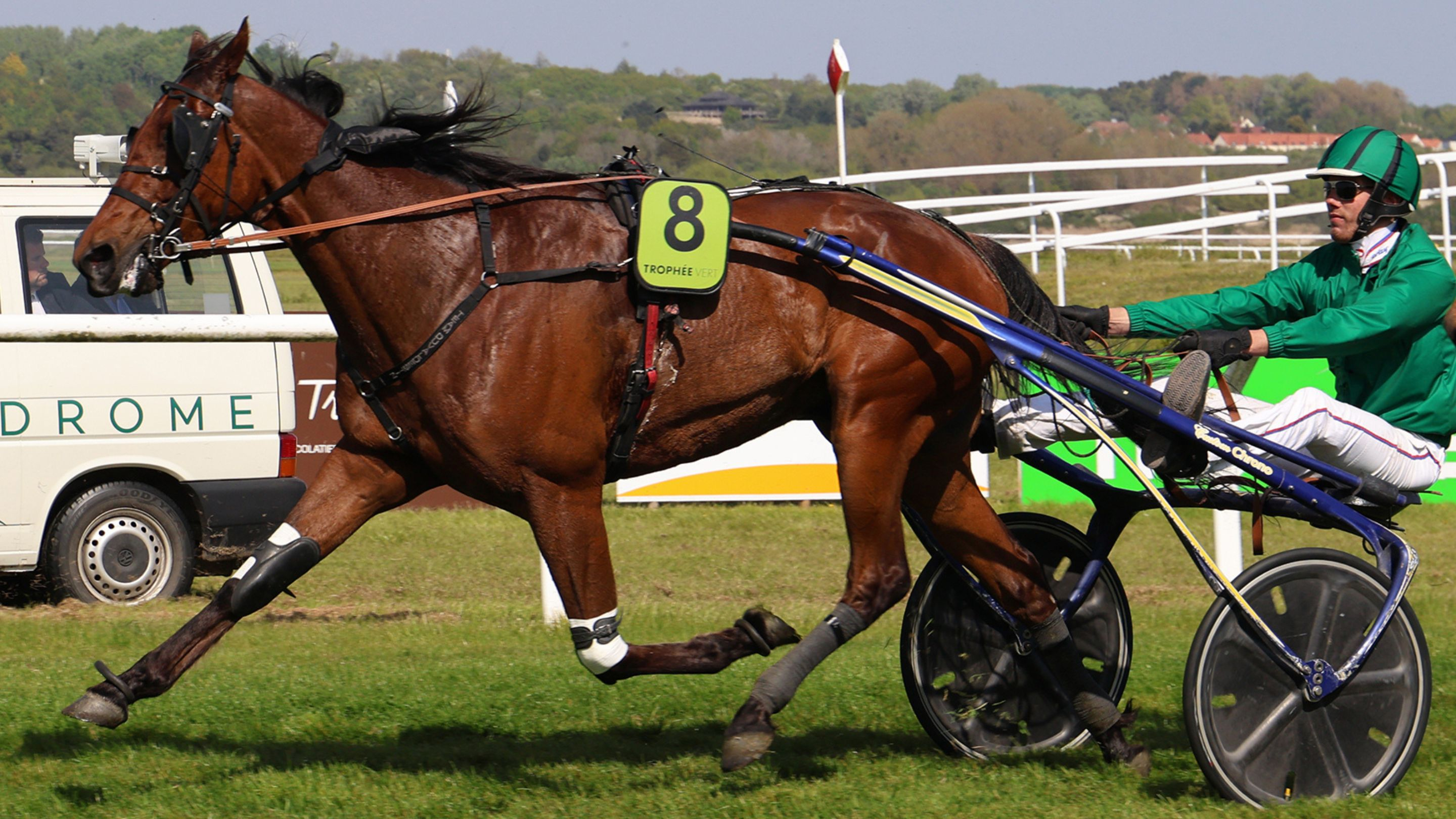 Just de l'Oison lors de sa victoire au Touquet - © A. Del Prato