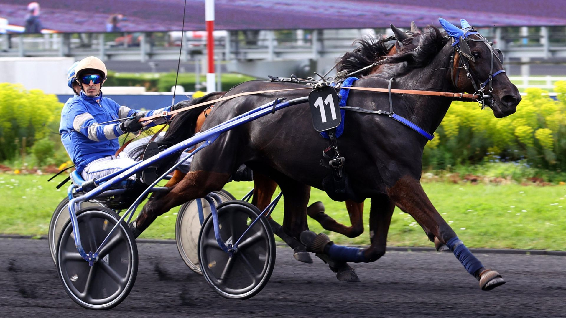 Juste du Gers lors de son récent succès à Vincennes - © ScoopDyga