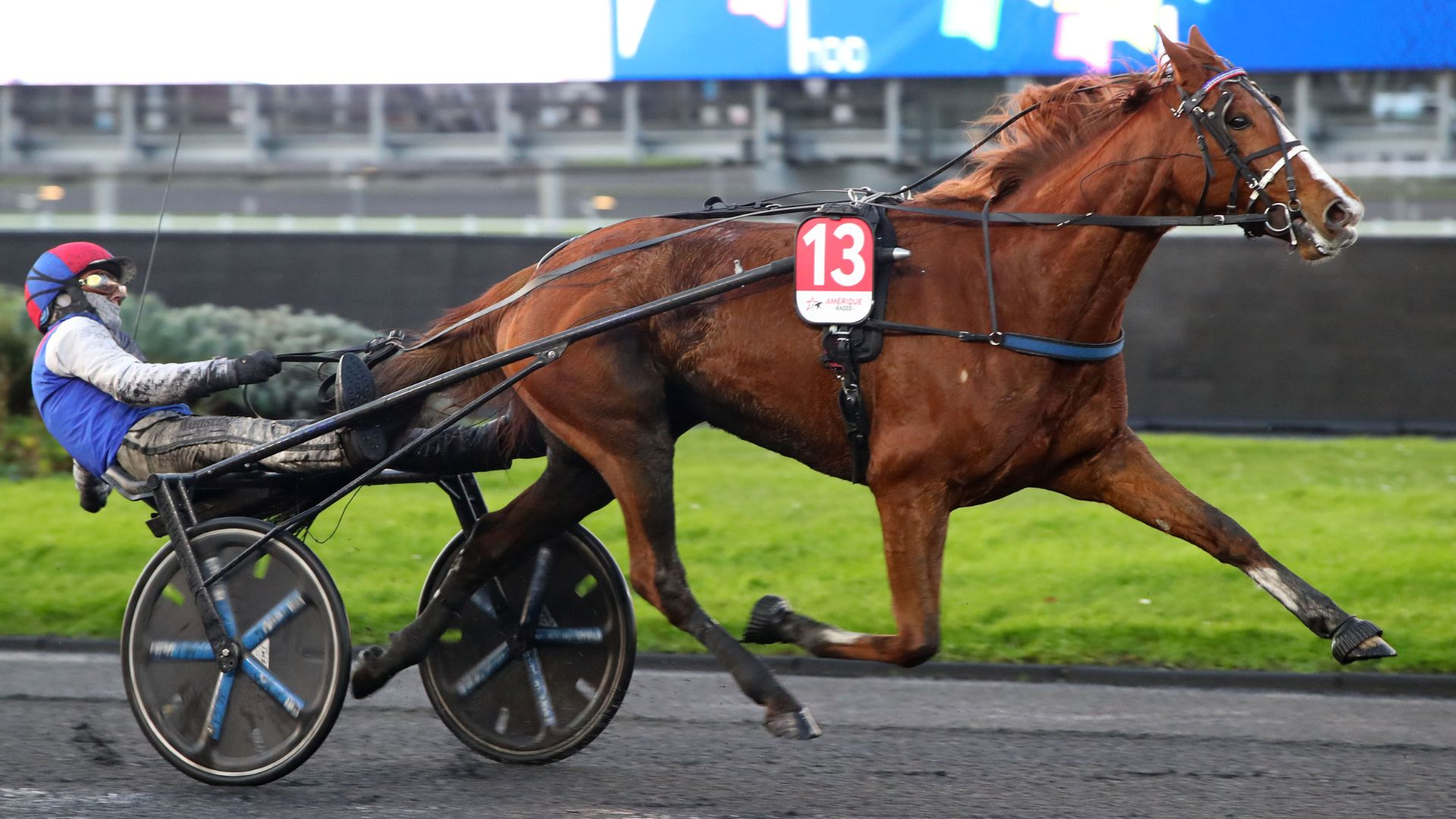 Just Love You remporte le Prix Ténor de Baune 2024 - © Aprh