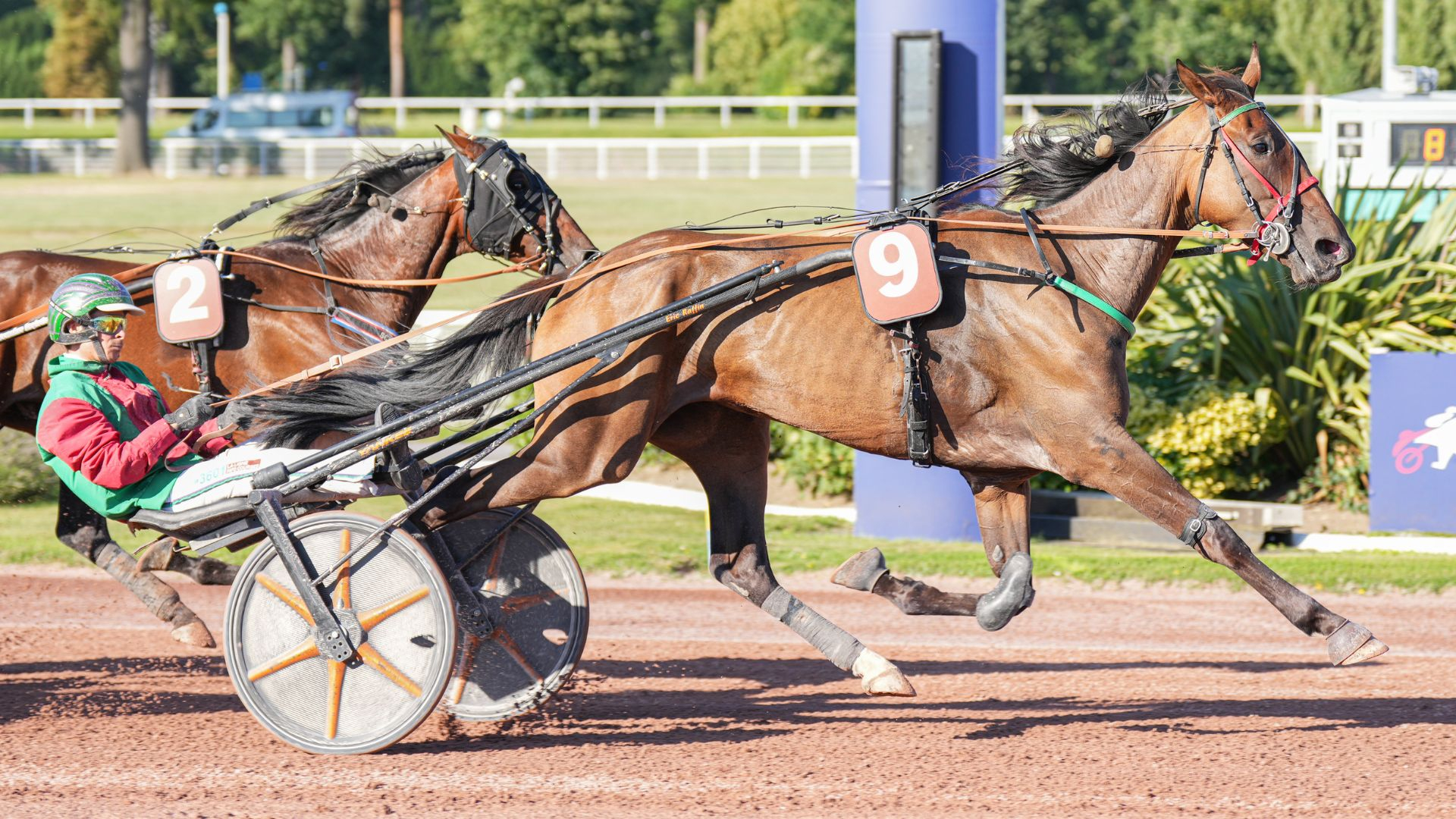 Kalita d'Heninel, une des deux 6 ans au départ - © ScoopDyga