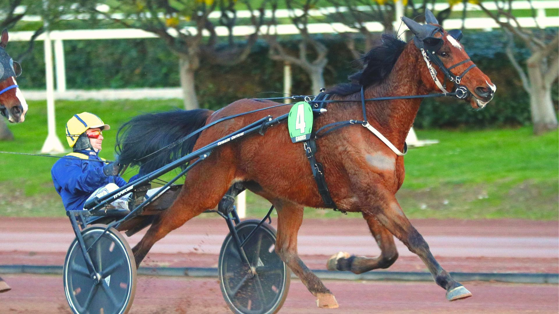 Kamour (image d'archive) - © ScoopDyga