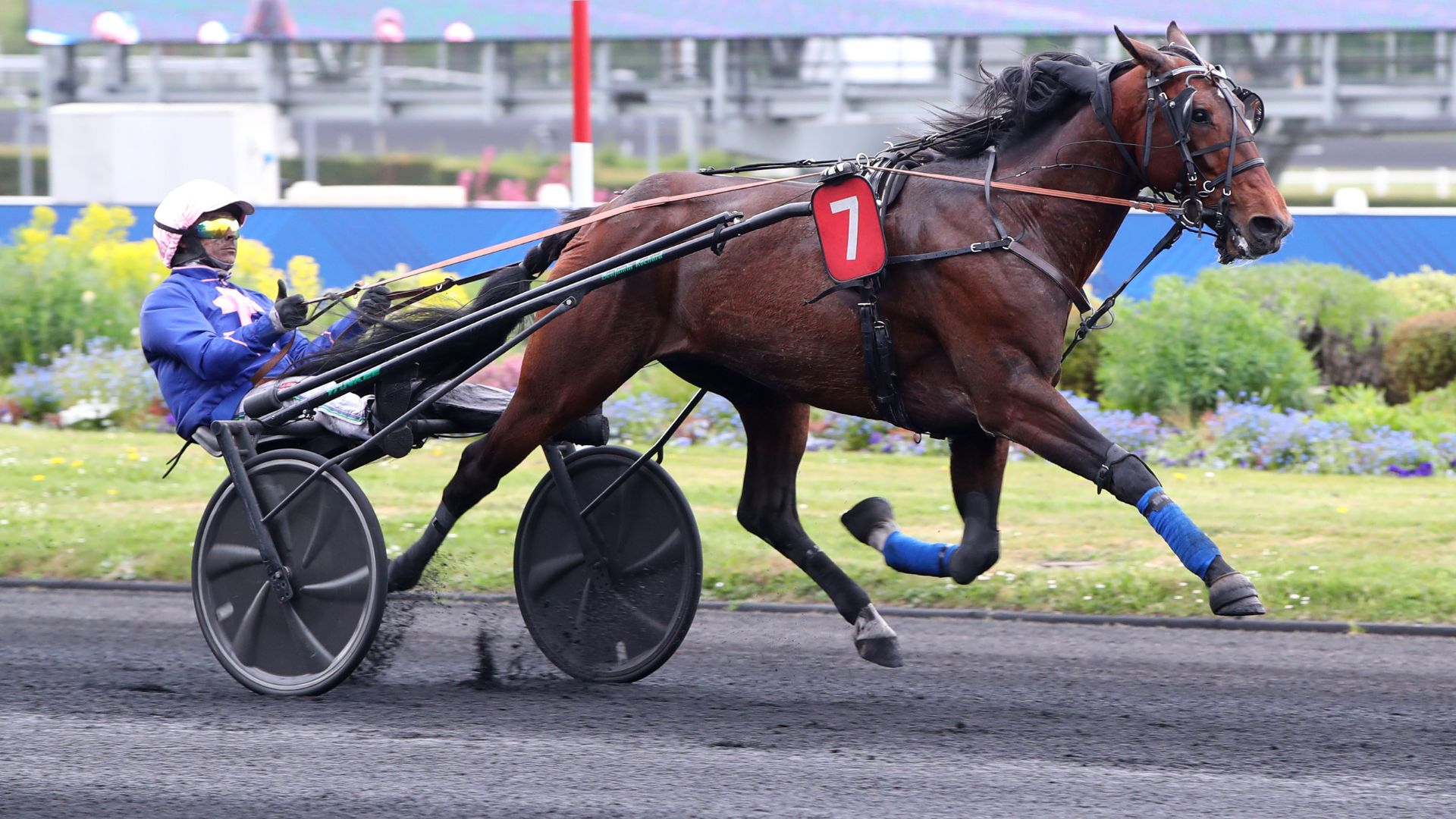 Kanto Avis - Benjamin Rochard