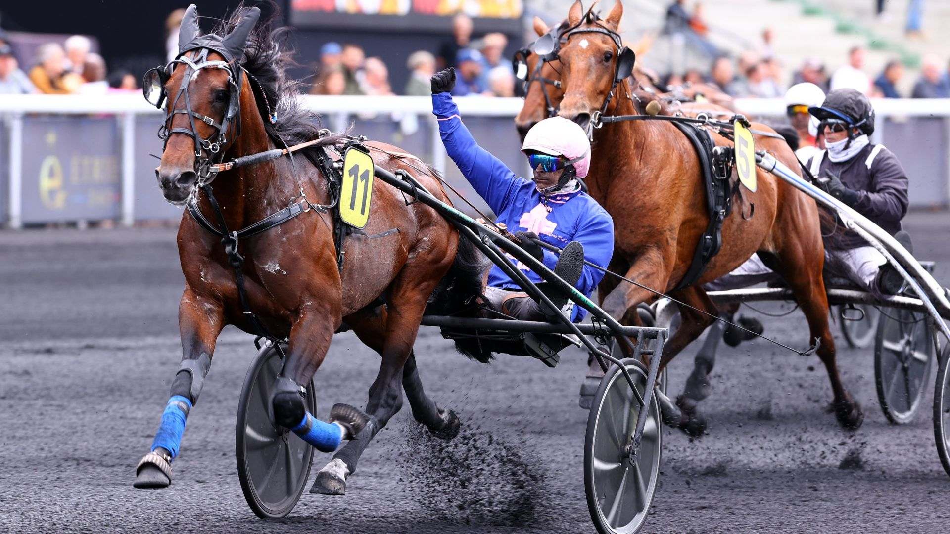 Kanto Avis - Keen Winner