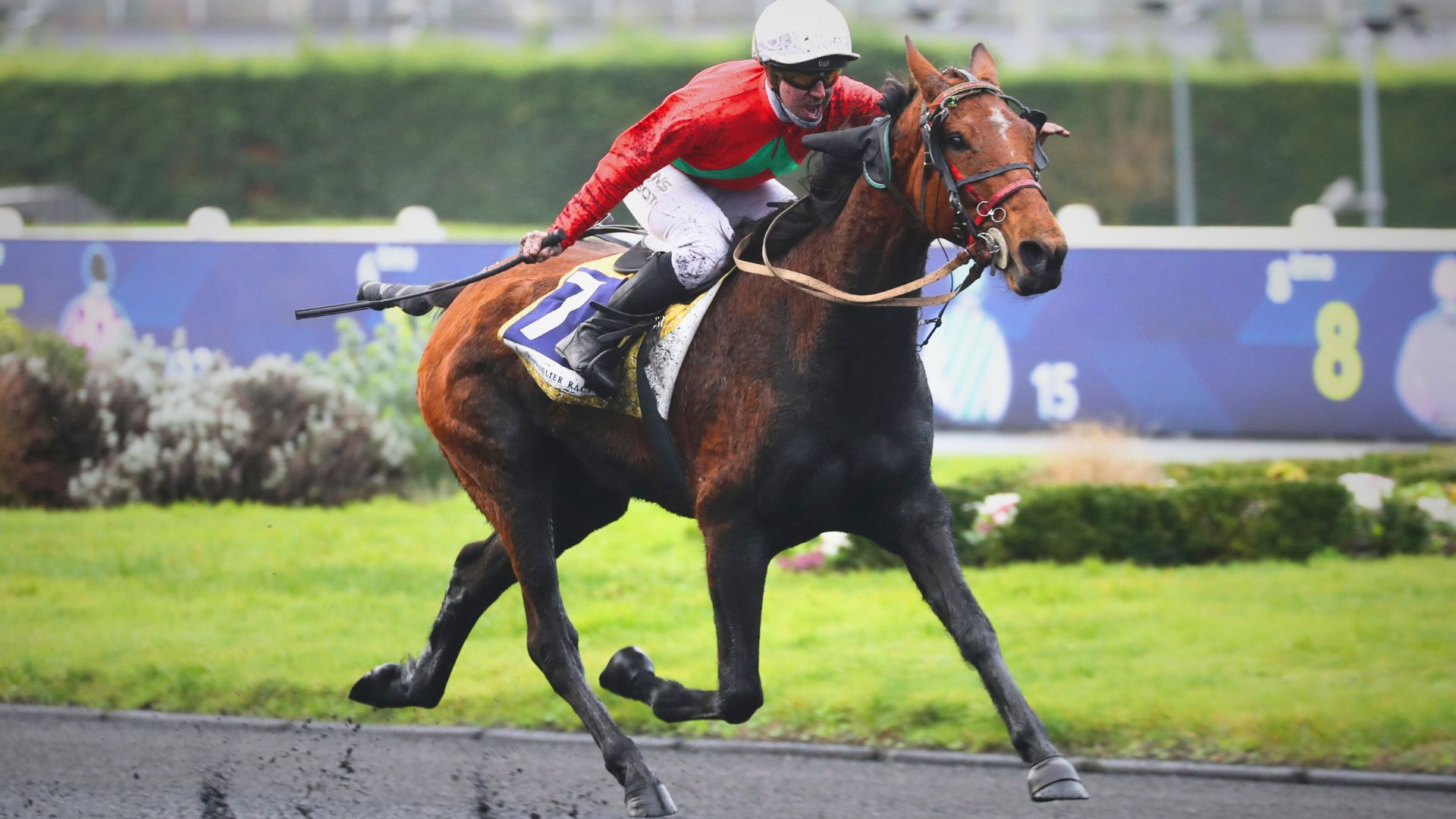 Kapaula de l'Epine - ©Aprh