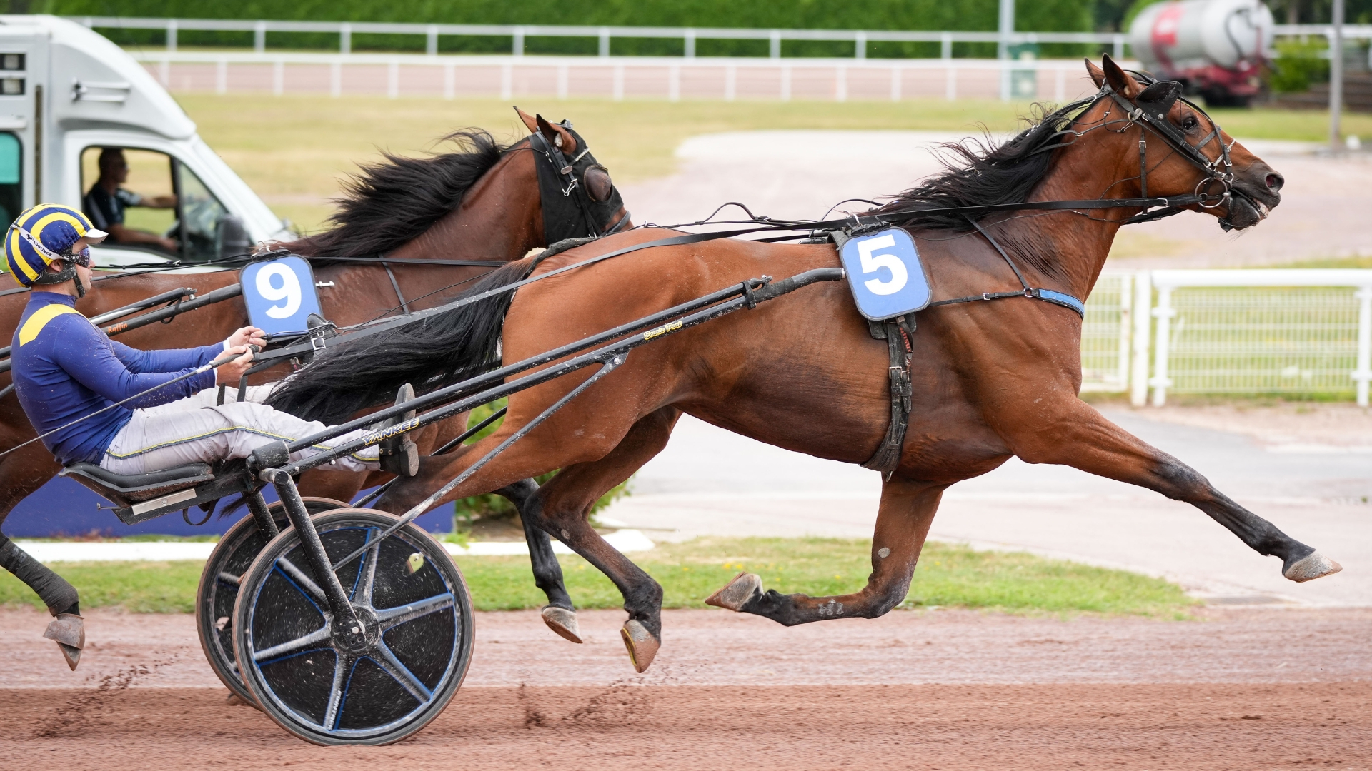 Kaptain du Liamone - © Aprh