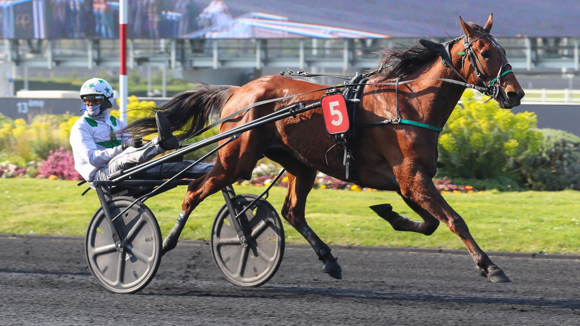 Le très doué Karambar - ©Aprh