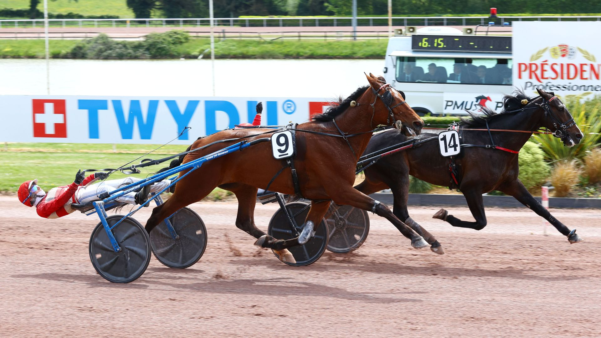 Karnac Wood résiste à Kiss Me Honey - ©Aprh