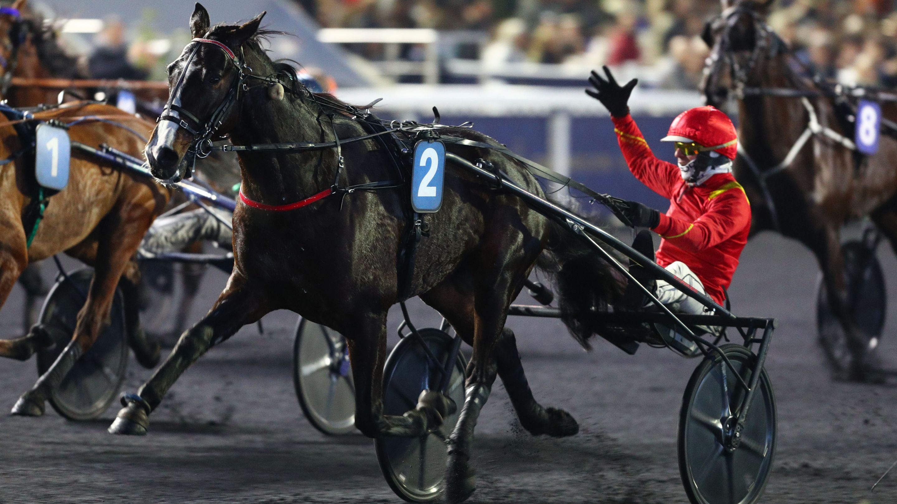 Karnac Wood - © Aprh