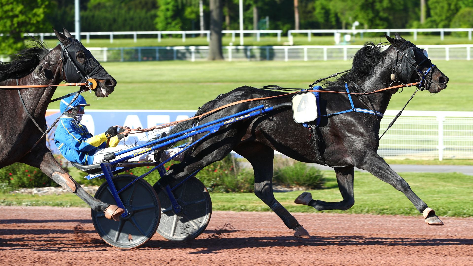 Nelson Greenwood - ©Scoopdyga