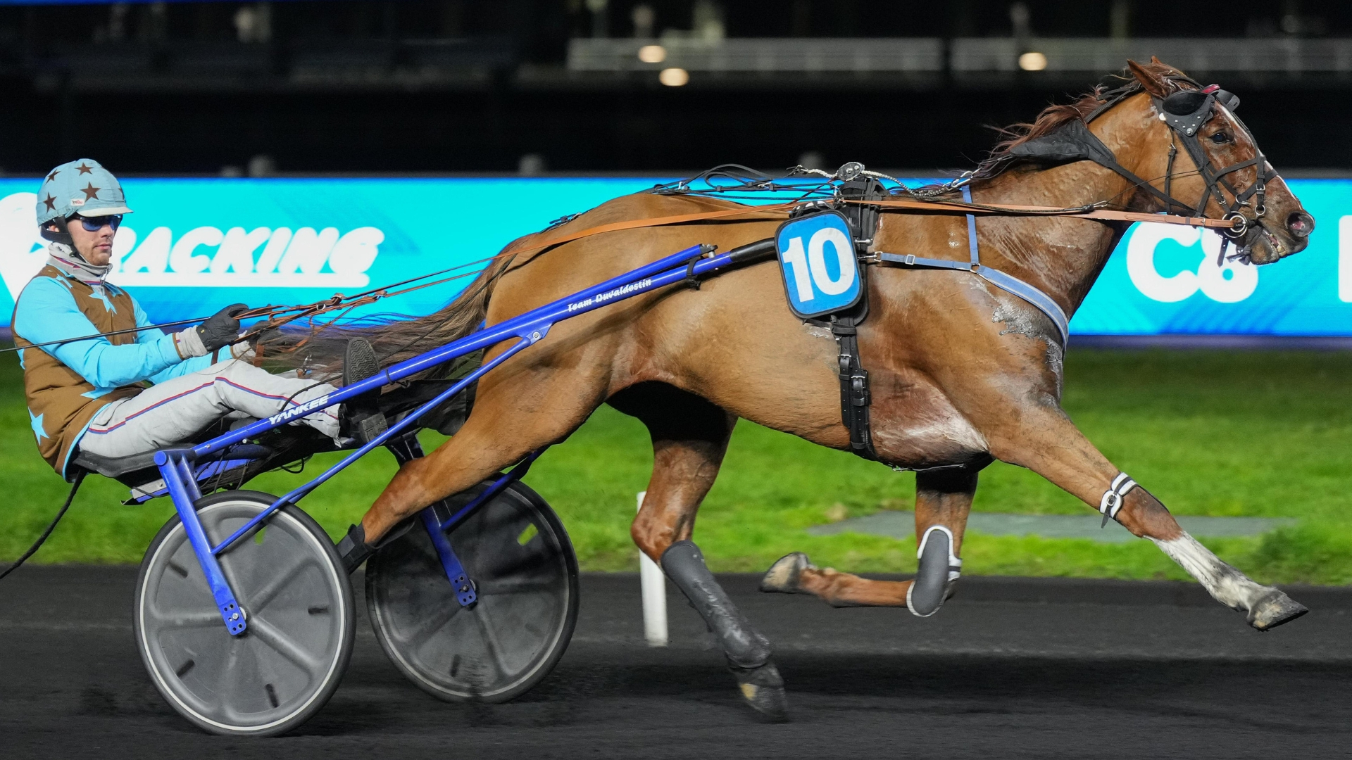 Katchi Quick (lot 17), récent vainqueur à Vincennes - © ScoopDyga