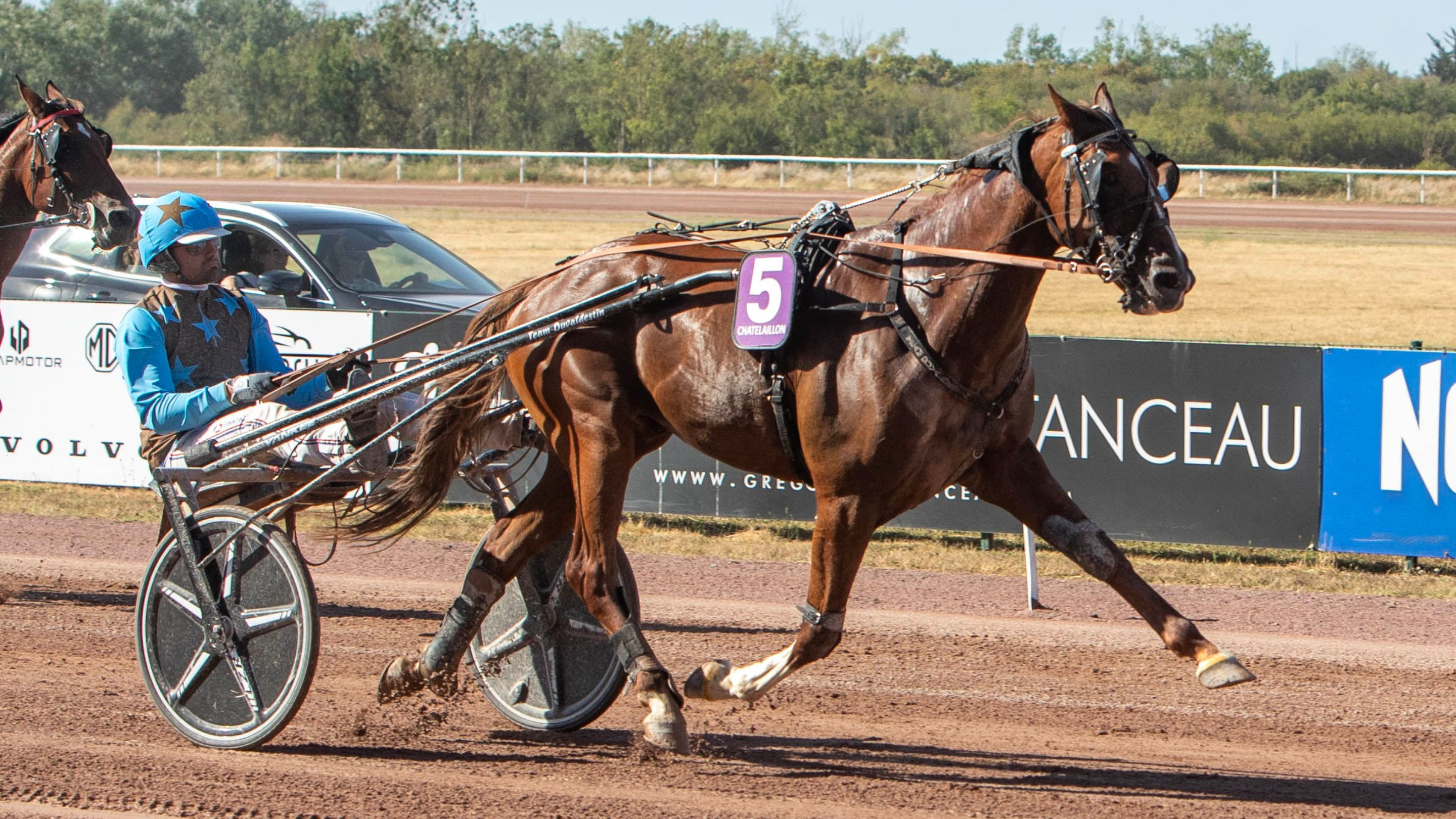 Katchi Quick dominateur - ©&nbsp;G. Libessart