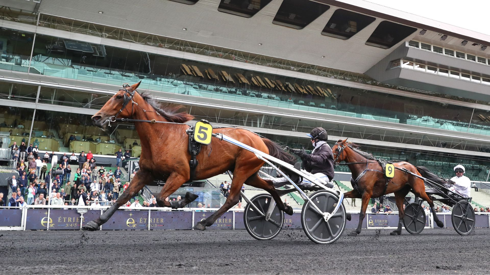 Keen Winner - ©Aprh