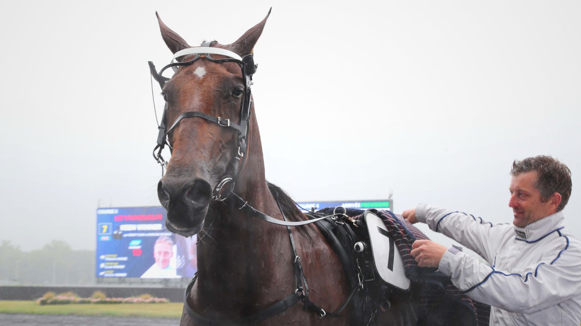 Keen Winner - © Aprh