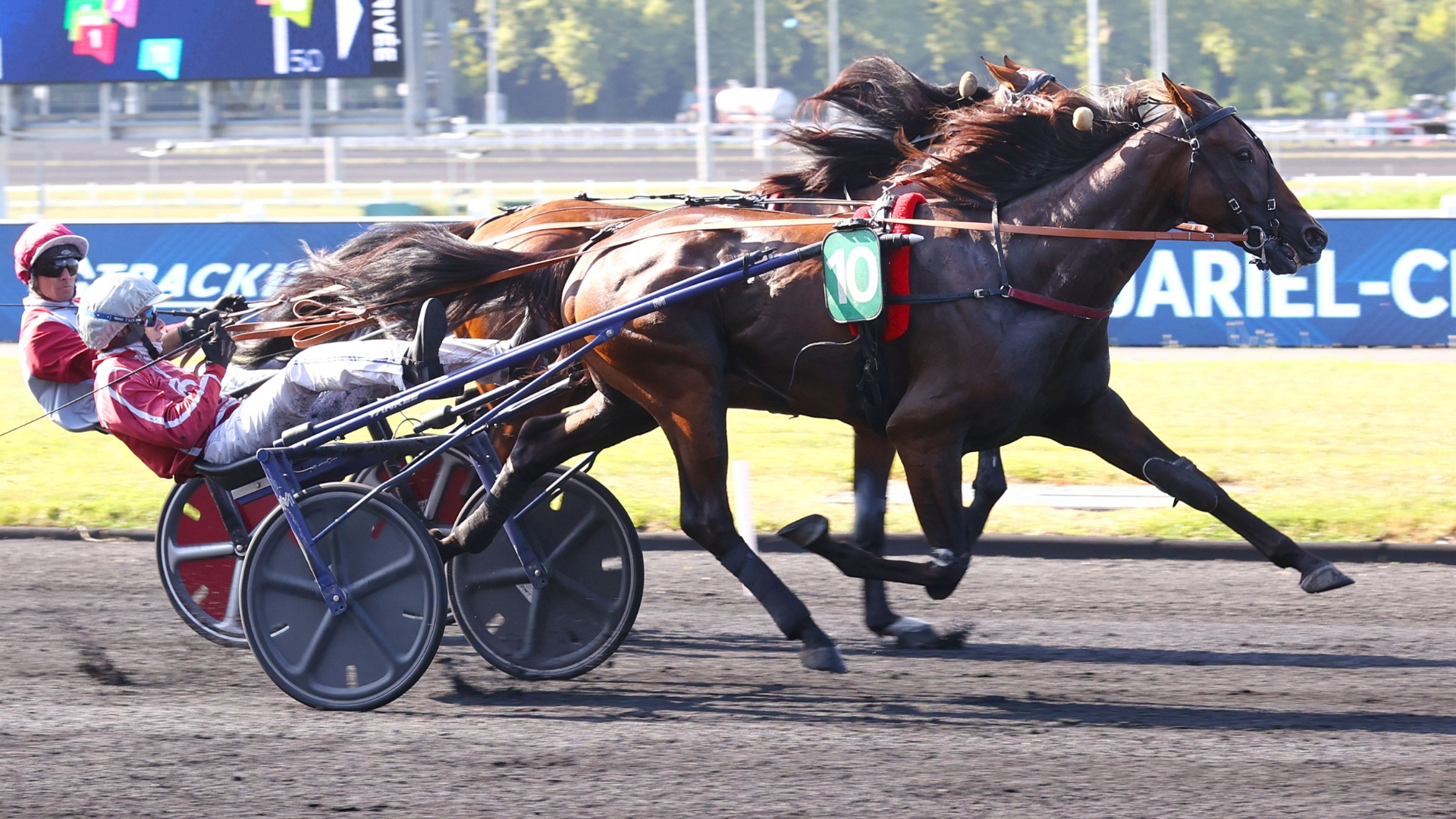 Keep Going, une nouvelle fois sprinteur d'élite - © ScoopDyga