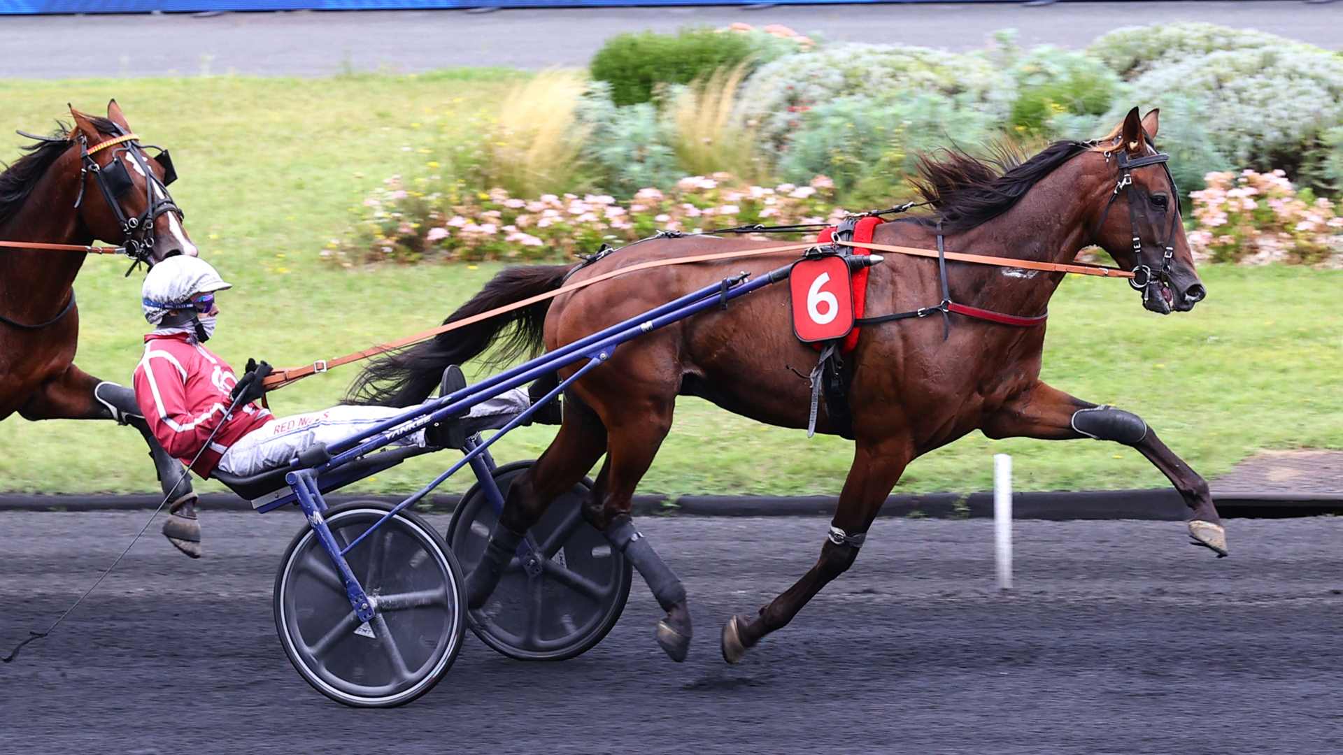 ©Scoopdyga - Keep Going, le gagnant des deux "Qualifs"