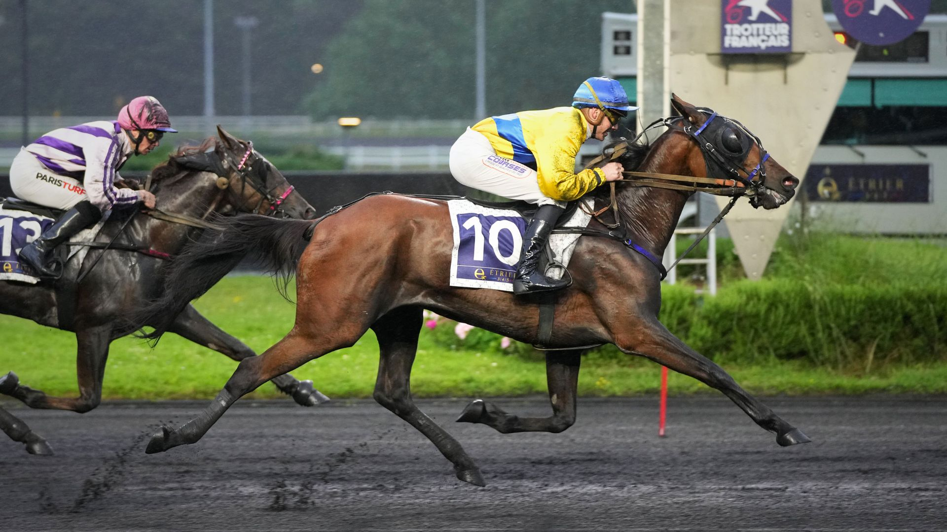 Kelly de Banville - © Aprh