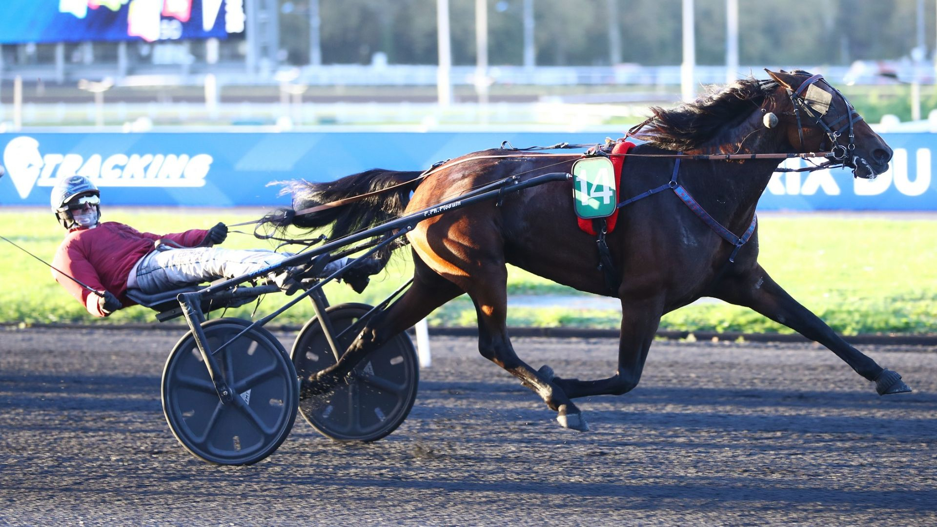 Kemia du Chêne s'impose de plaisante manière - © Aprh