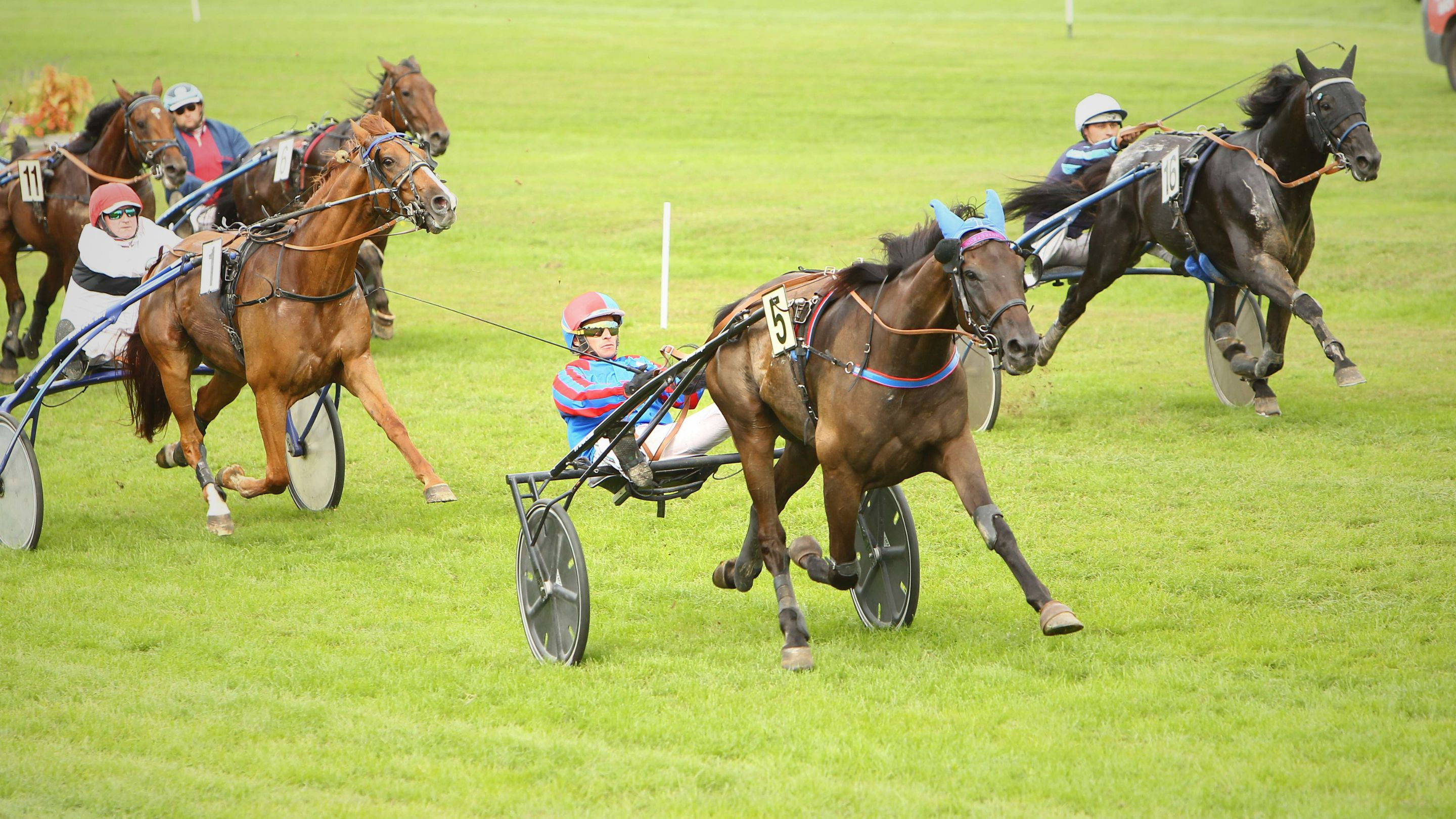 Keno Pettevinière - Kingsman d'Eole - Iguski Sautonne