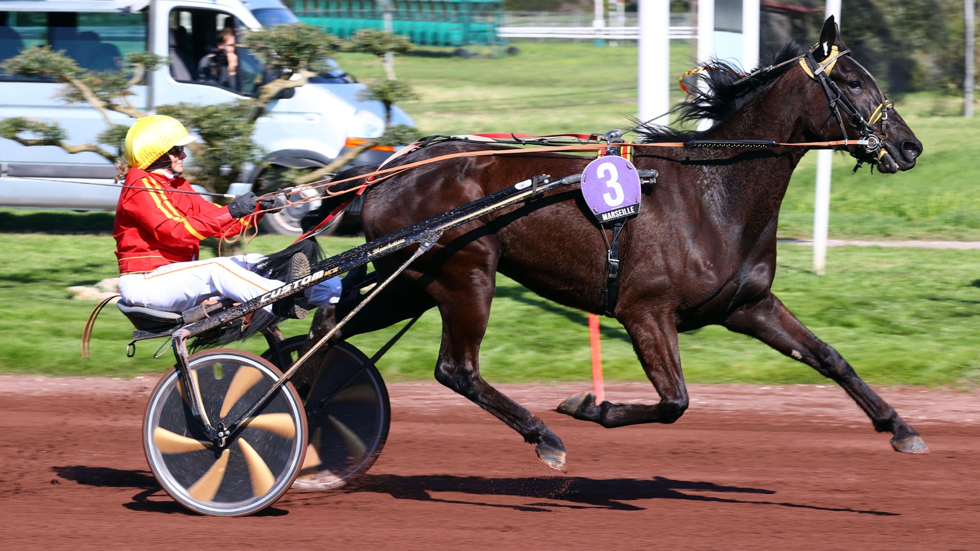 Keops du Chatault - © ScoopDyga