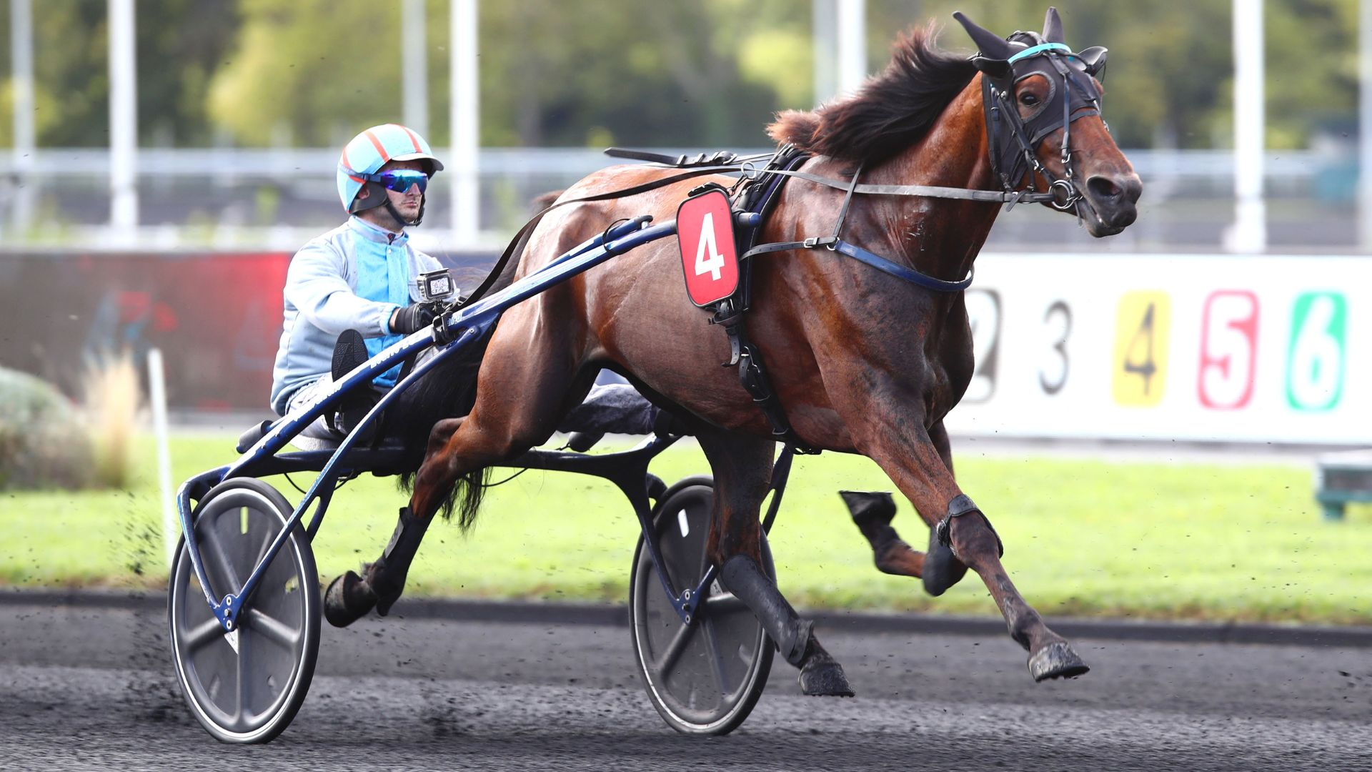 Kiara de Vandel - ©Aprh