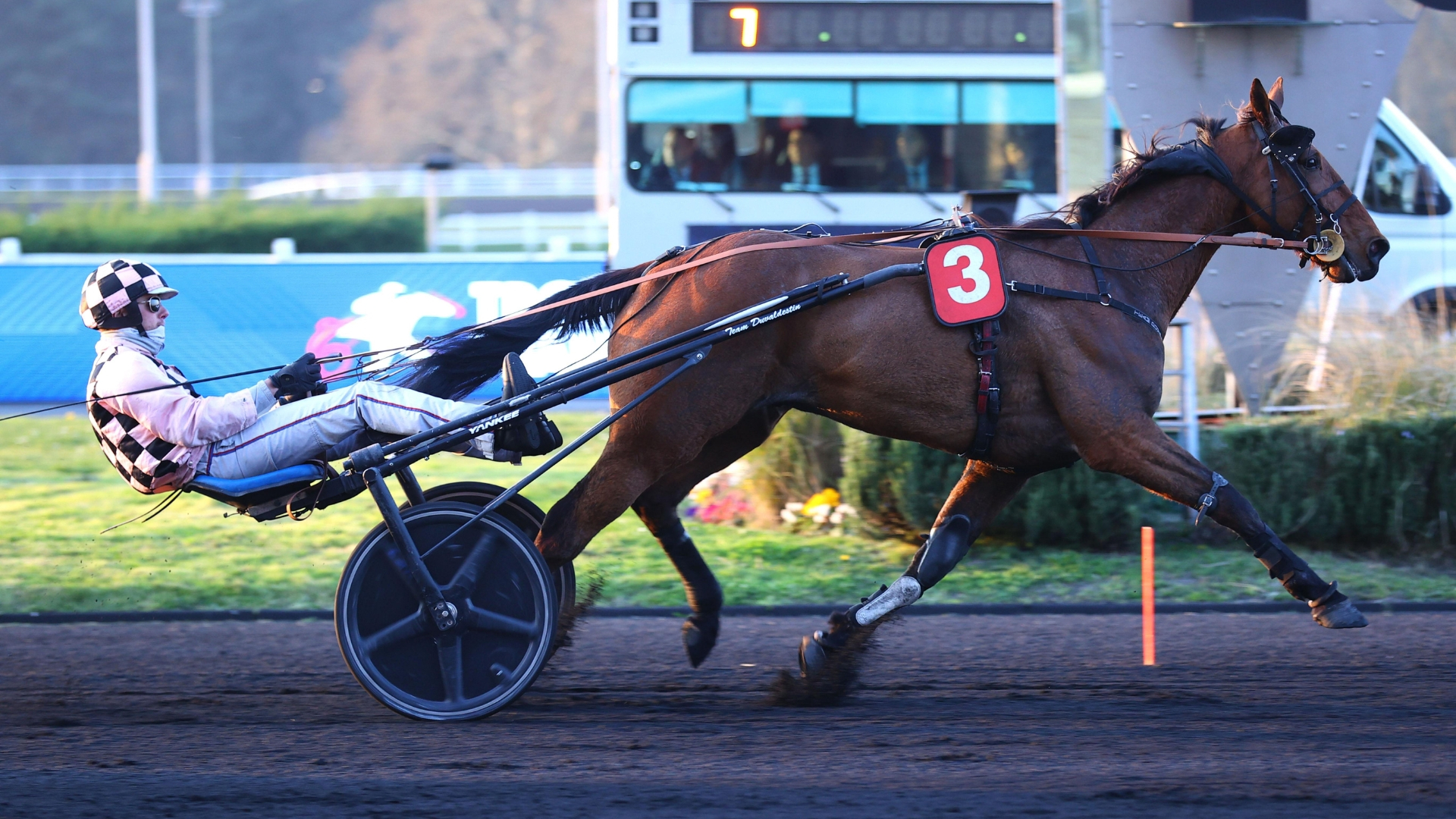 King Look lors de l'une de ses victoires à Paris-Vincennes - ©Scoopdyga