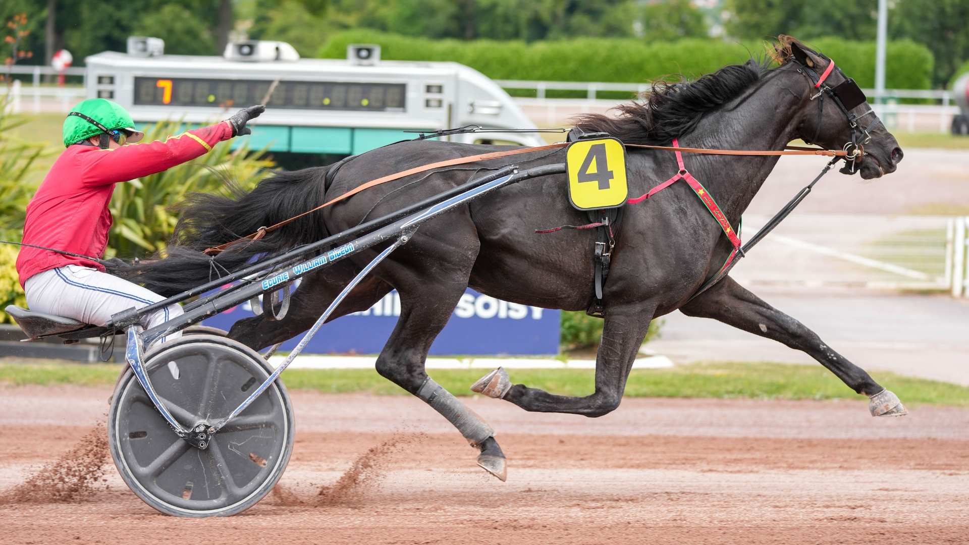 King Opéra en net vainqueur - © ScoopDyga