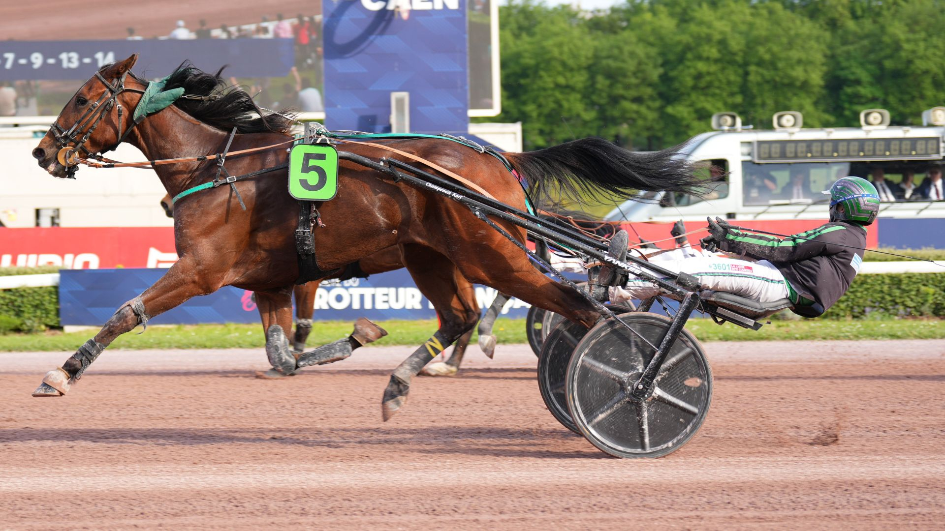 LES COURSES DE DIMANCHE À PARIS-VINCENNES