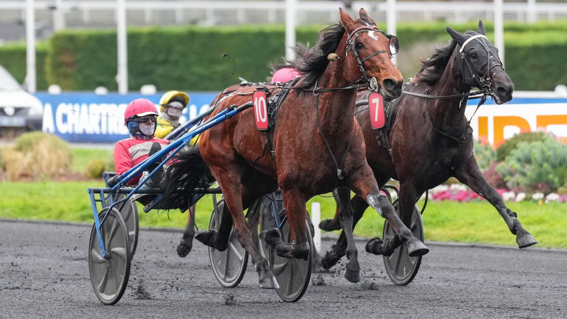 Kiss Me Honey - ©Scoopdyga