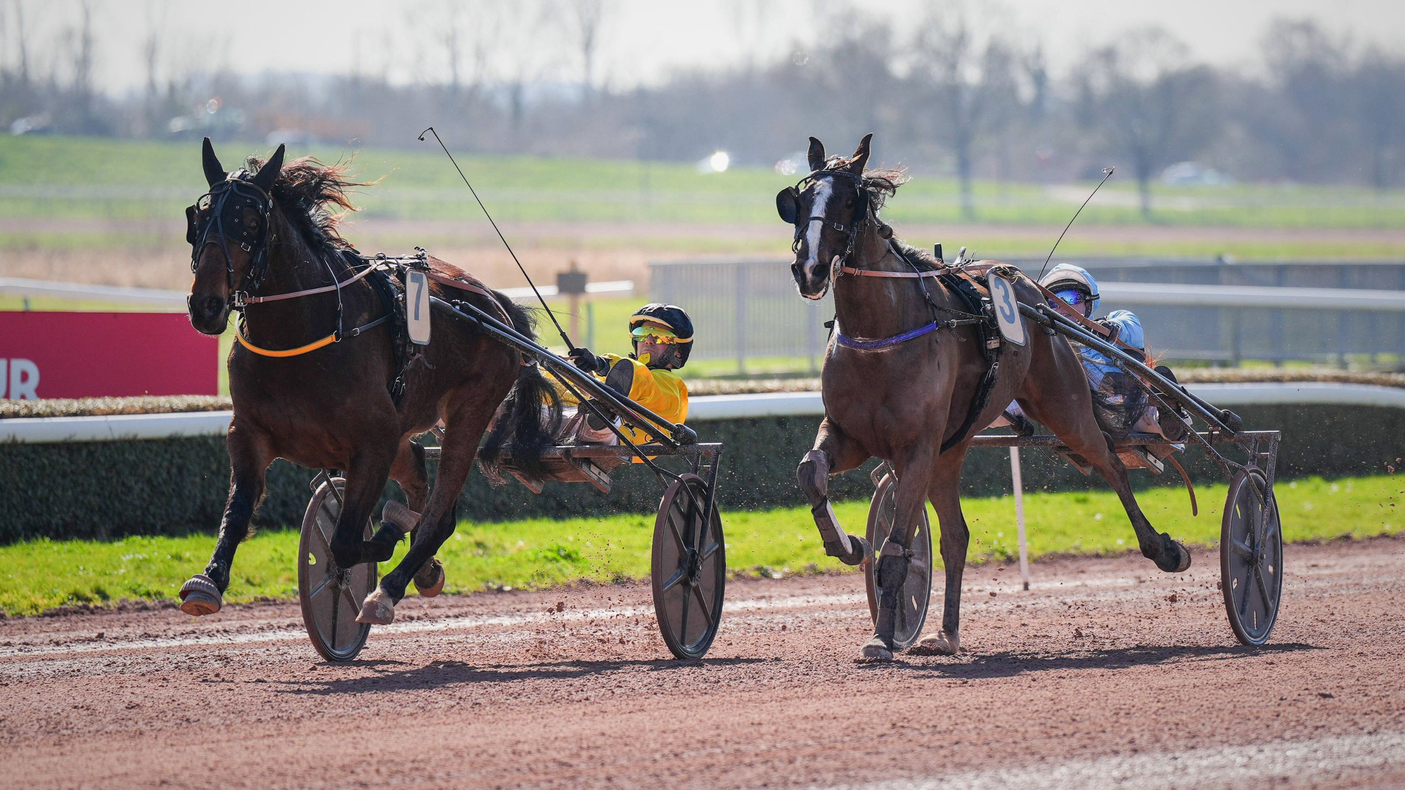 Koala Blue (7) résiste à Kazy Mérité (3) - © ScoopDyga